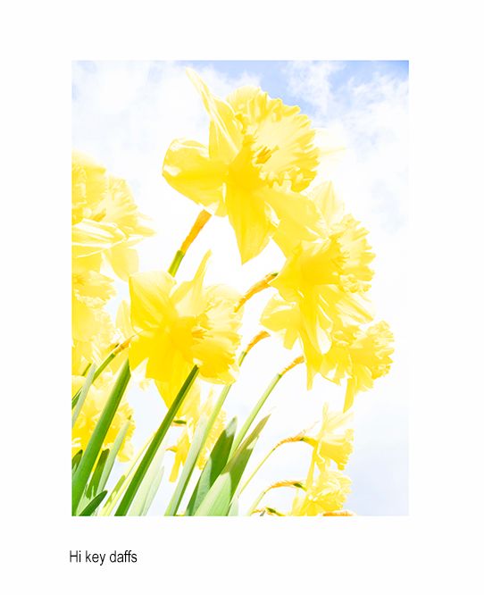 zzzada cafafaera.jpg