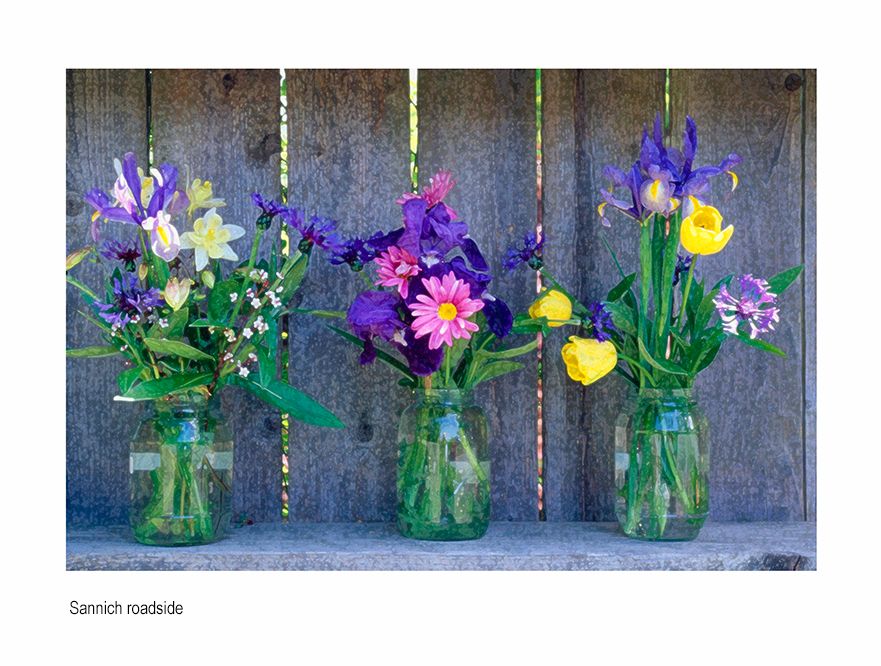 zzzznada  sanich flowers20x30.jpg