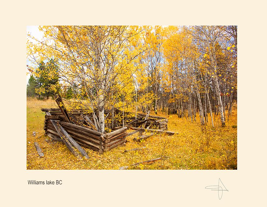 aaaaaaamailammmaila A0282.jpg