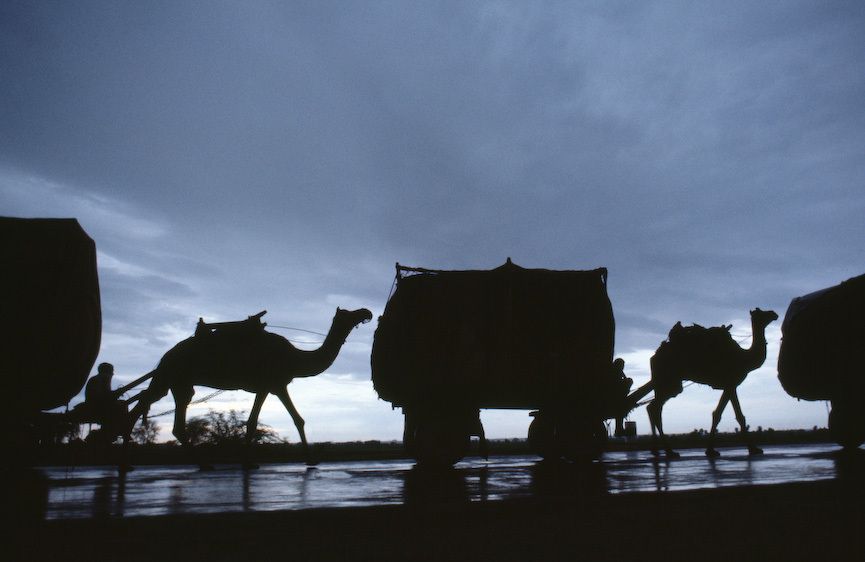 1India_camel_train_night