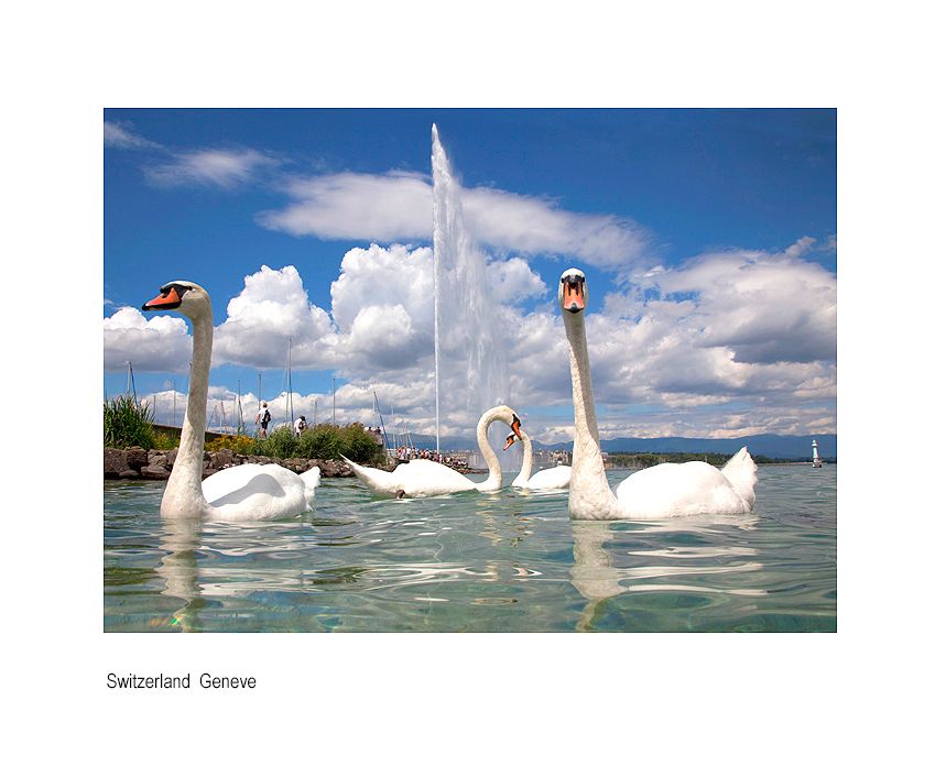 popkokokail 2720.jpg