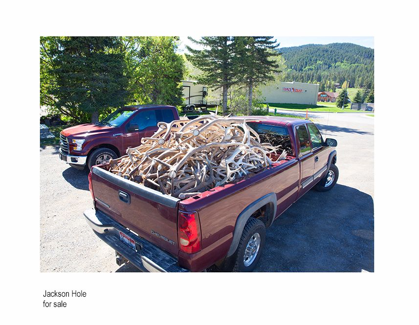 aaaaa2L0ff A6246.jpg