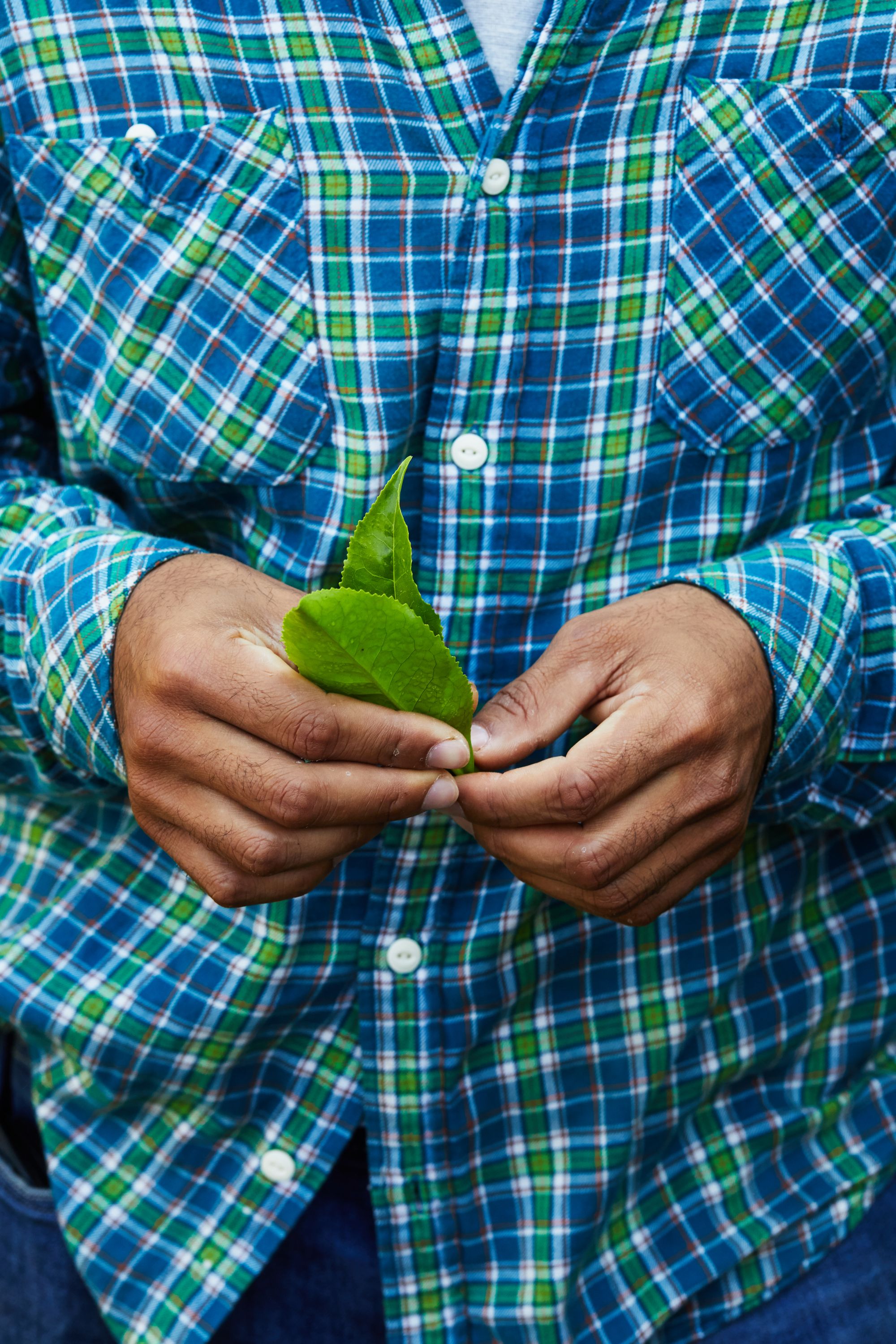 vietnam_1_2_2020 414.jpg