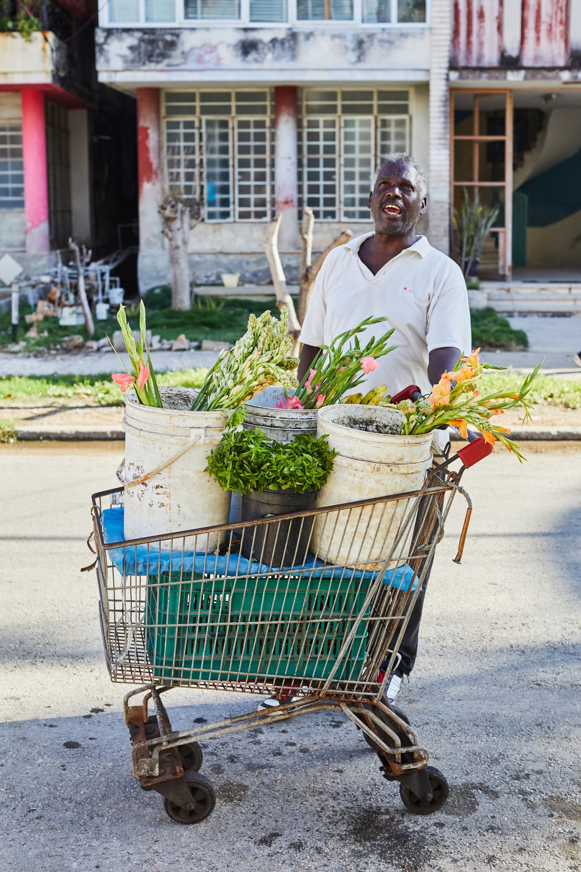 cuba_misc_10_17 22.jpg