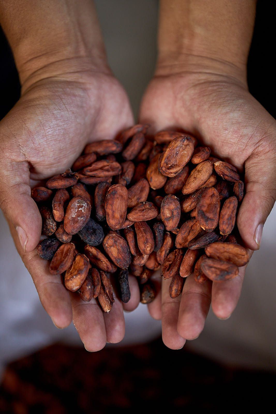 vietnam_1_2_2020 1241.jpg