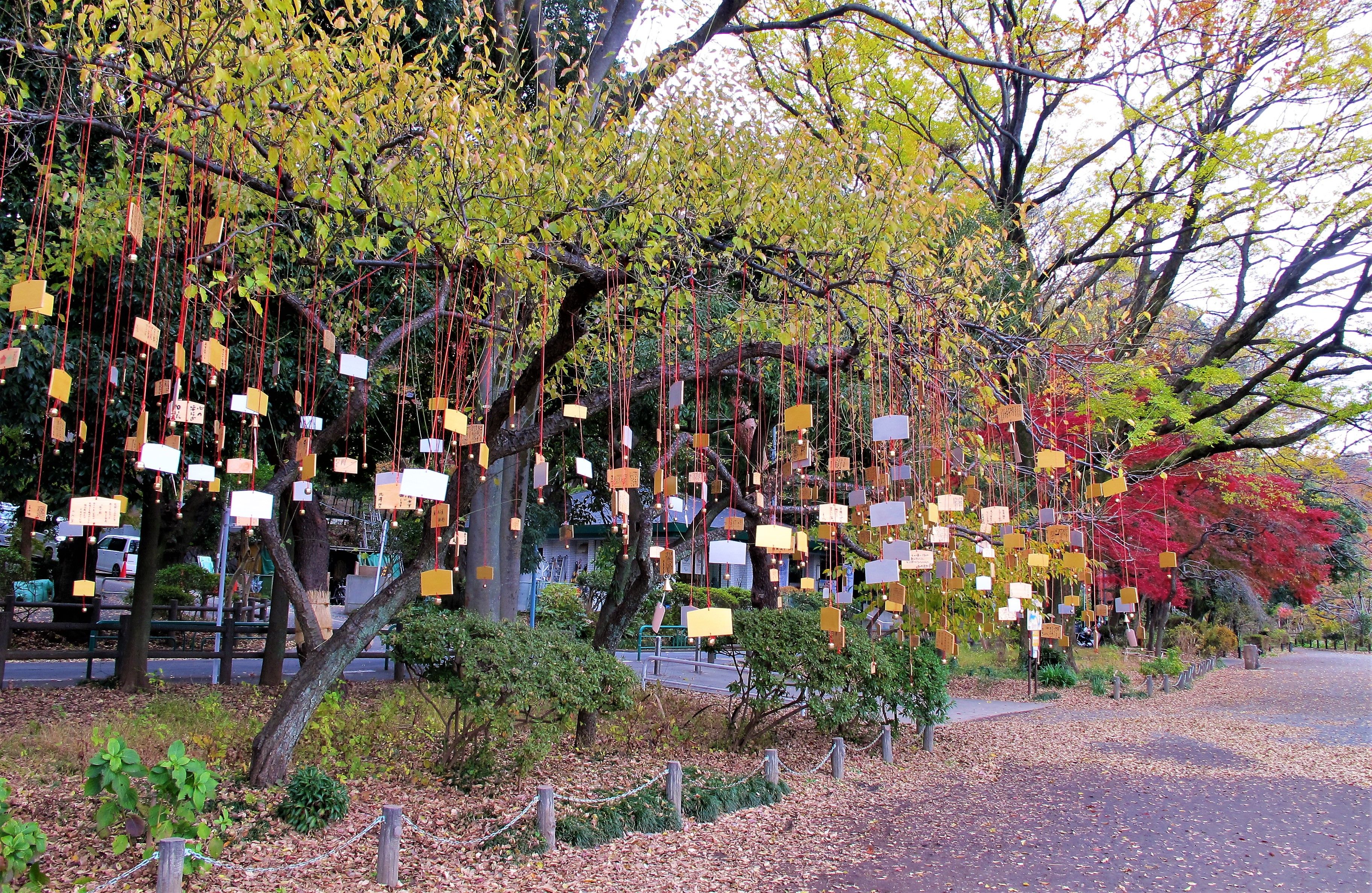 The Singing Ringing Tree, Trolls in the Park 2017