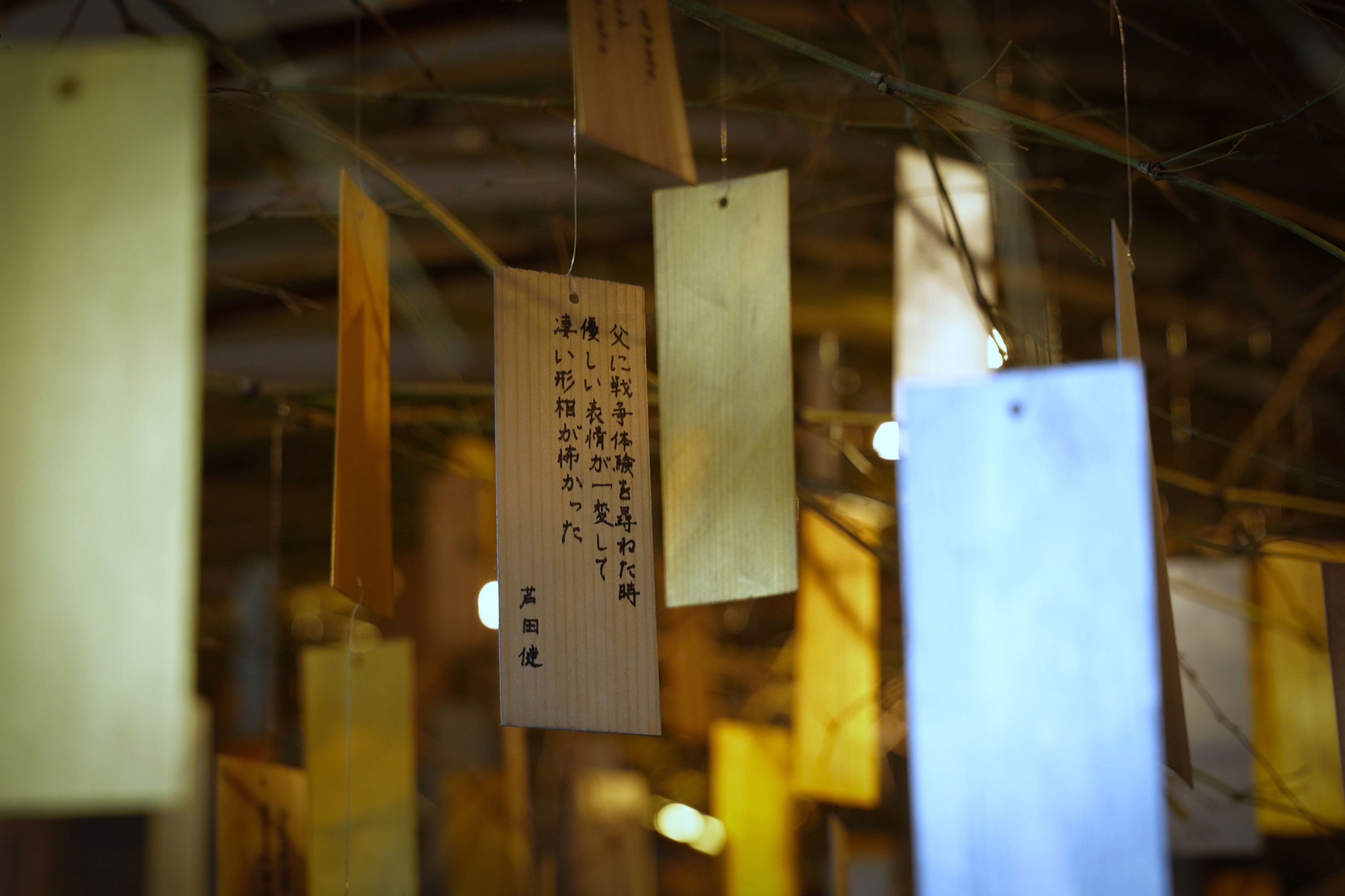 Peace of Mind 2025 (5).jpg