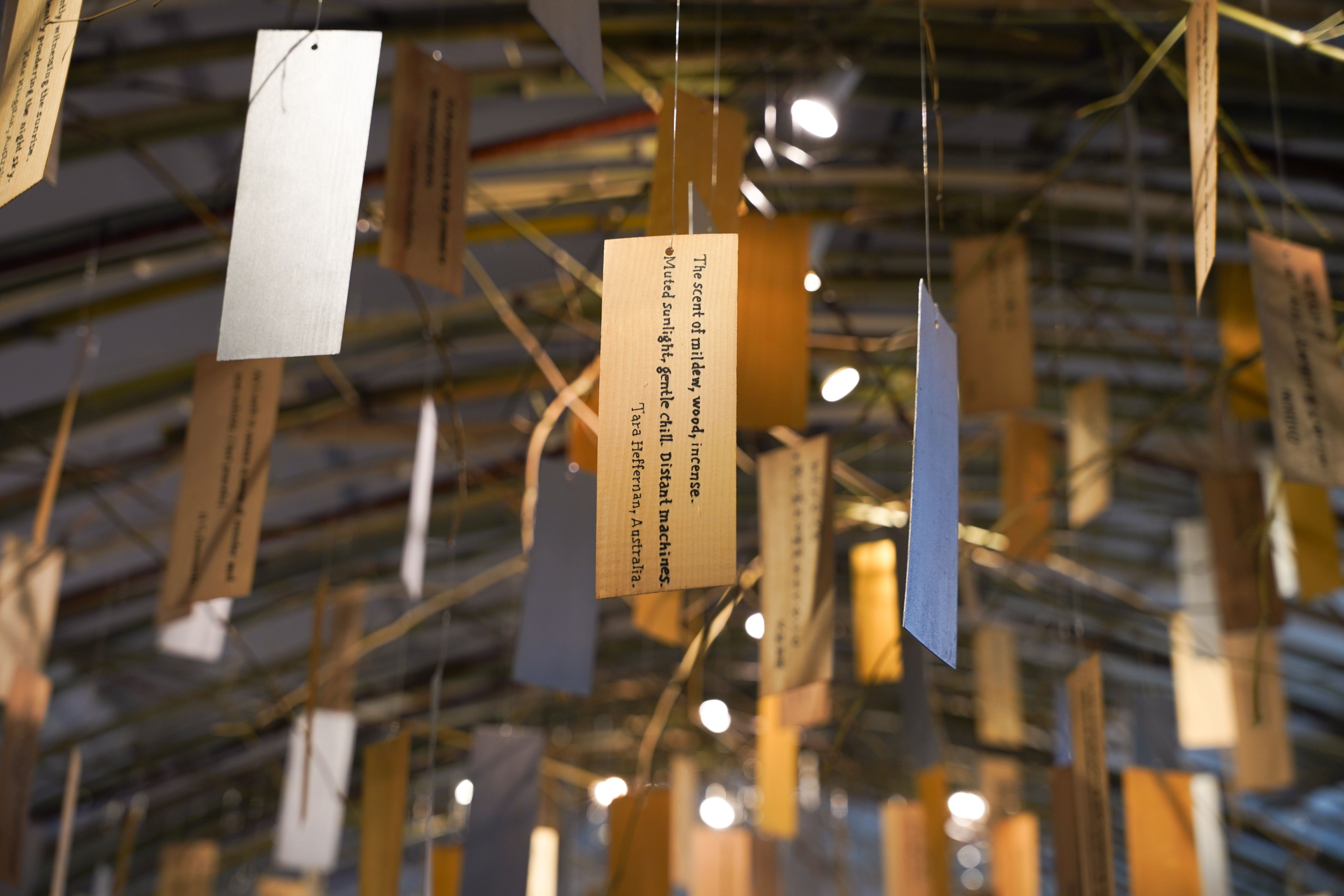 Peace of Mind, Nakanojo Biennale 2025 (3).jpg