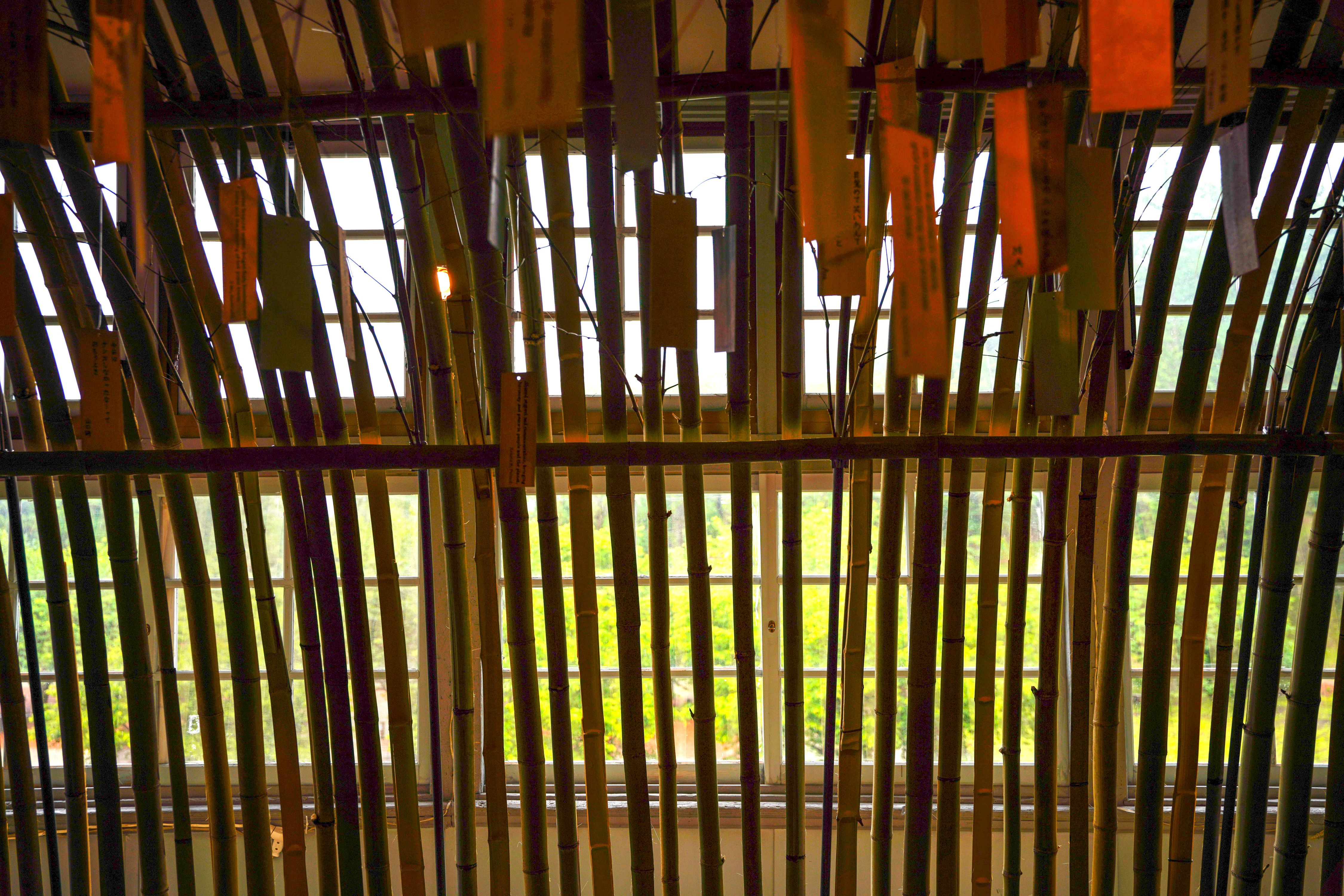 Peace of Mind, Nakanojo Biennale 2025 (11).jpg