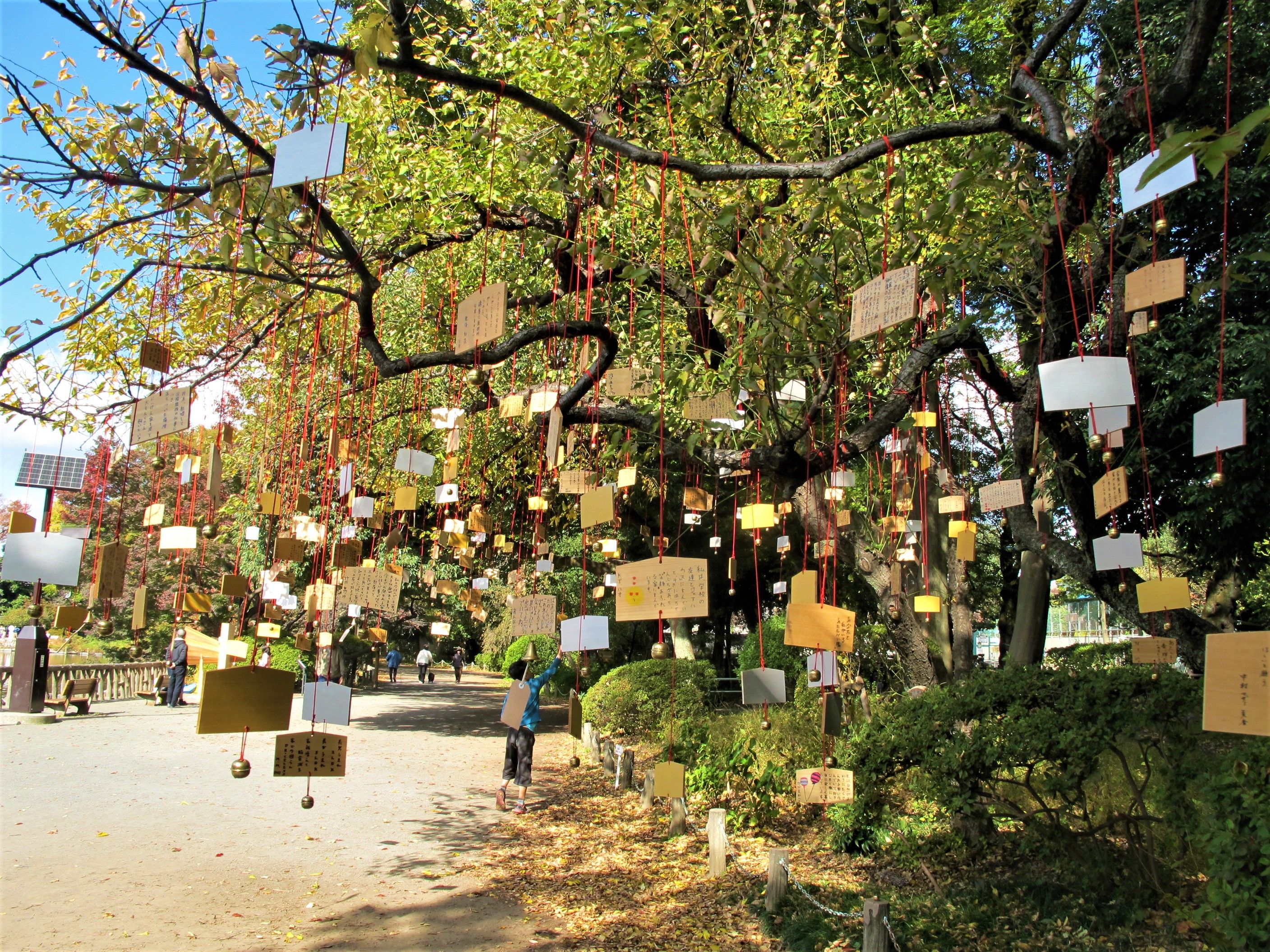 The Singing Ringing Tree 2017.