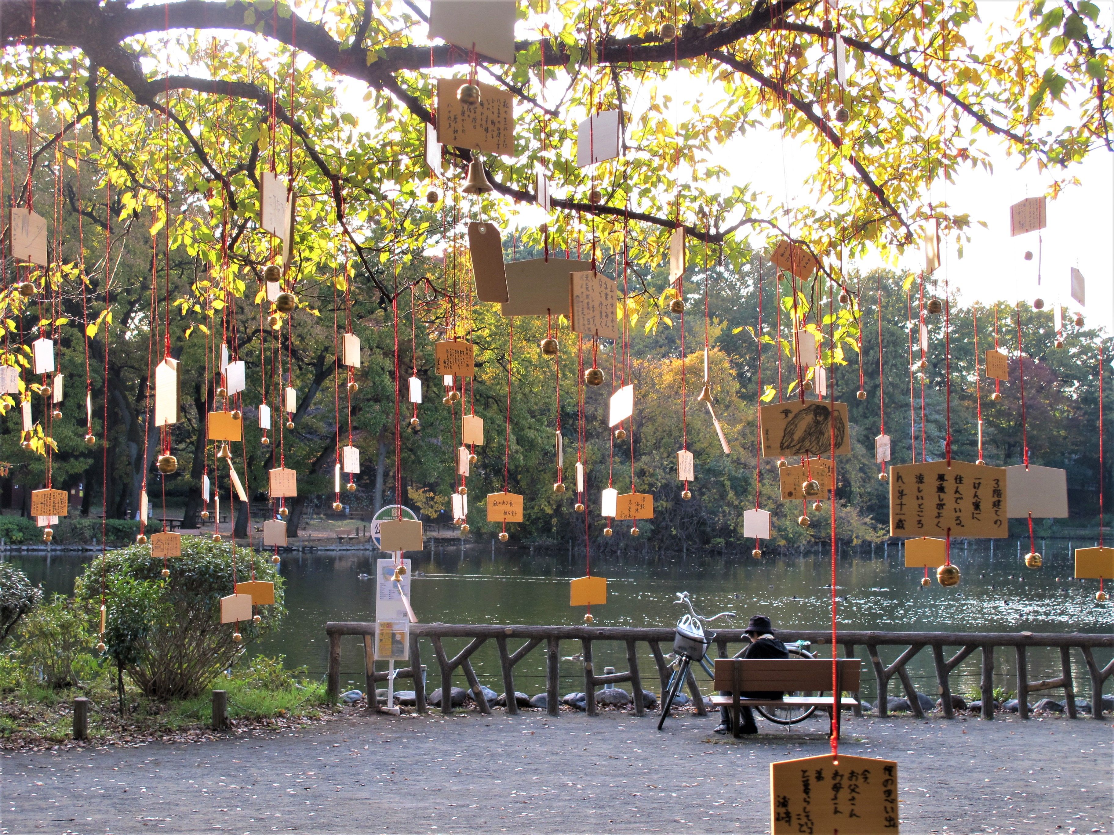 The Singing Ringing Tree 2017