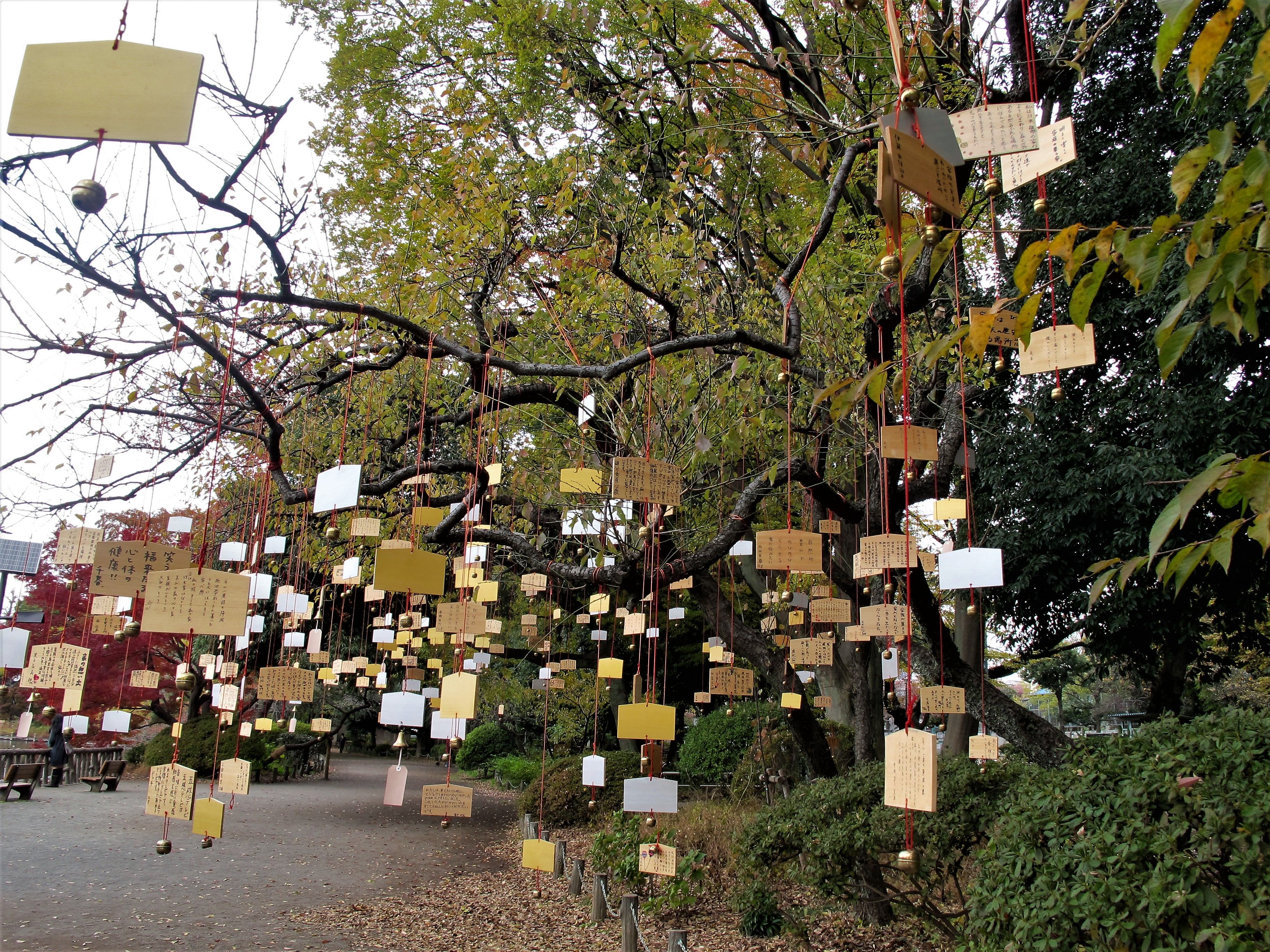 The Singing Ringing Tree, Trolls in the Park 2017