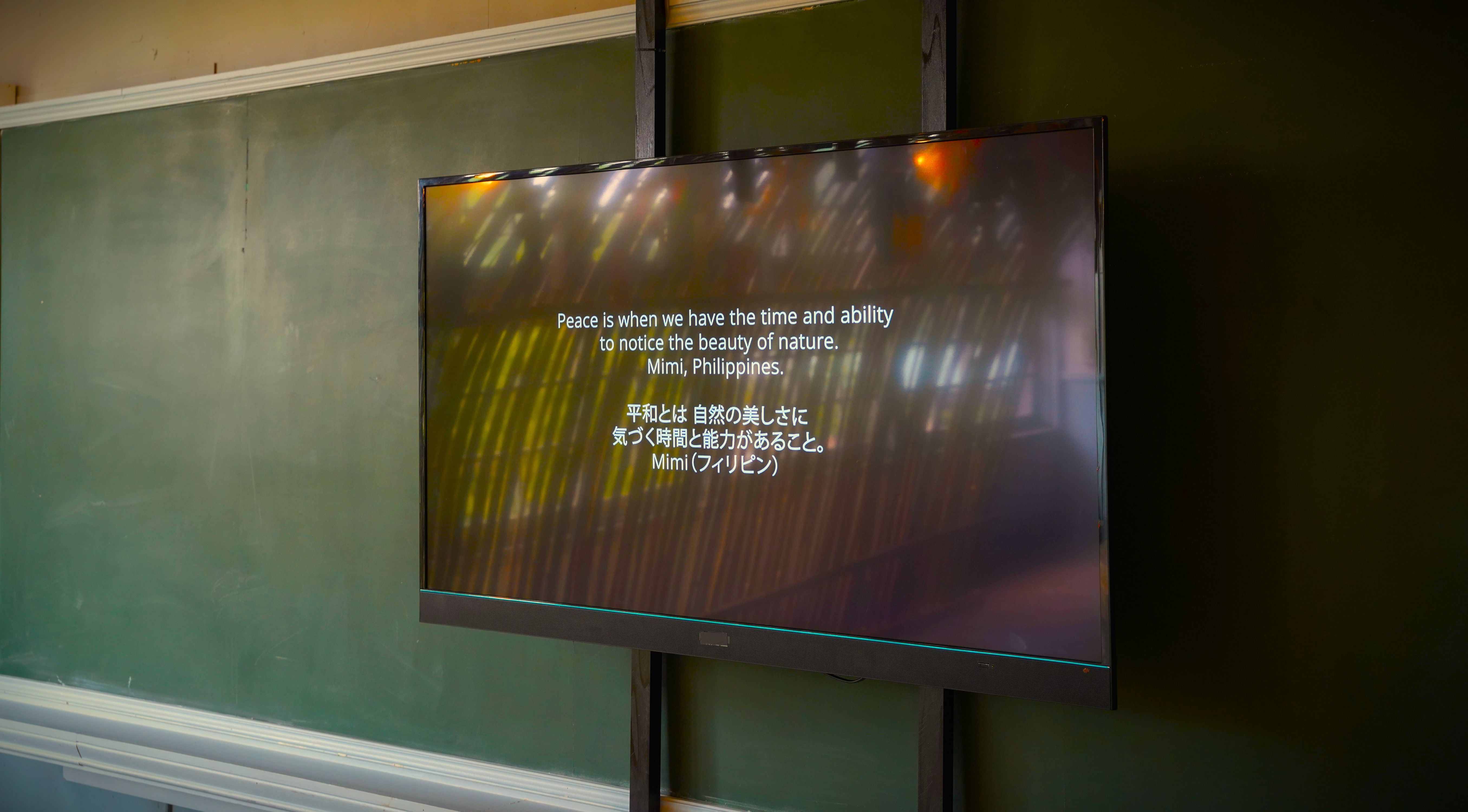 Peace of Mind, Nakanojo Biennale 2025 (16).jpg