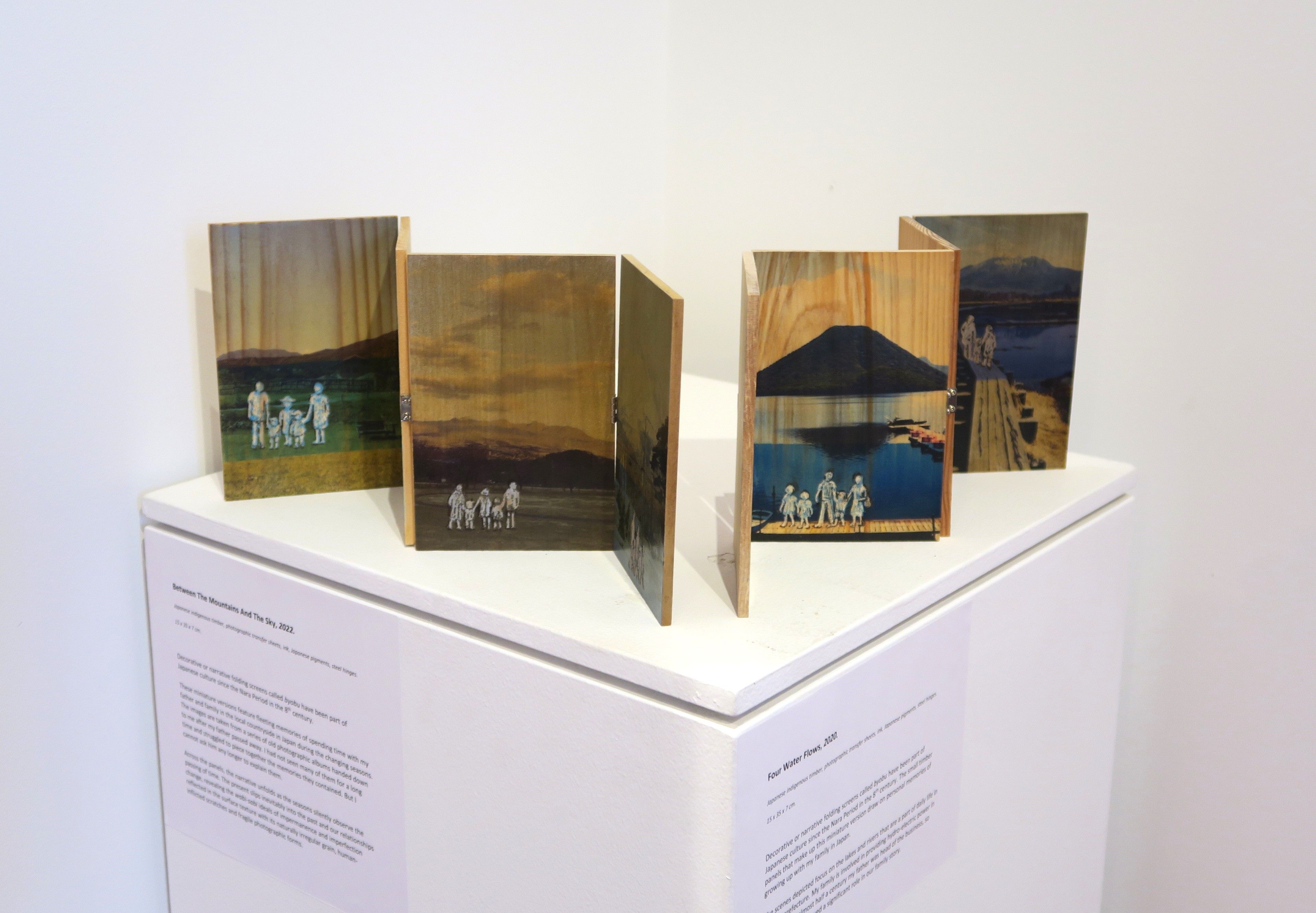 Thank You For The Days Exhibition 7.JPG