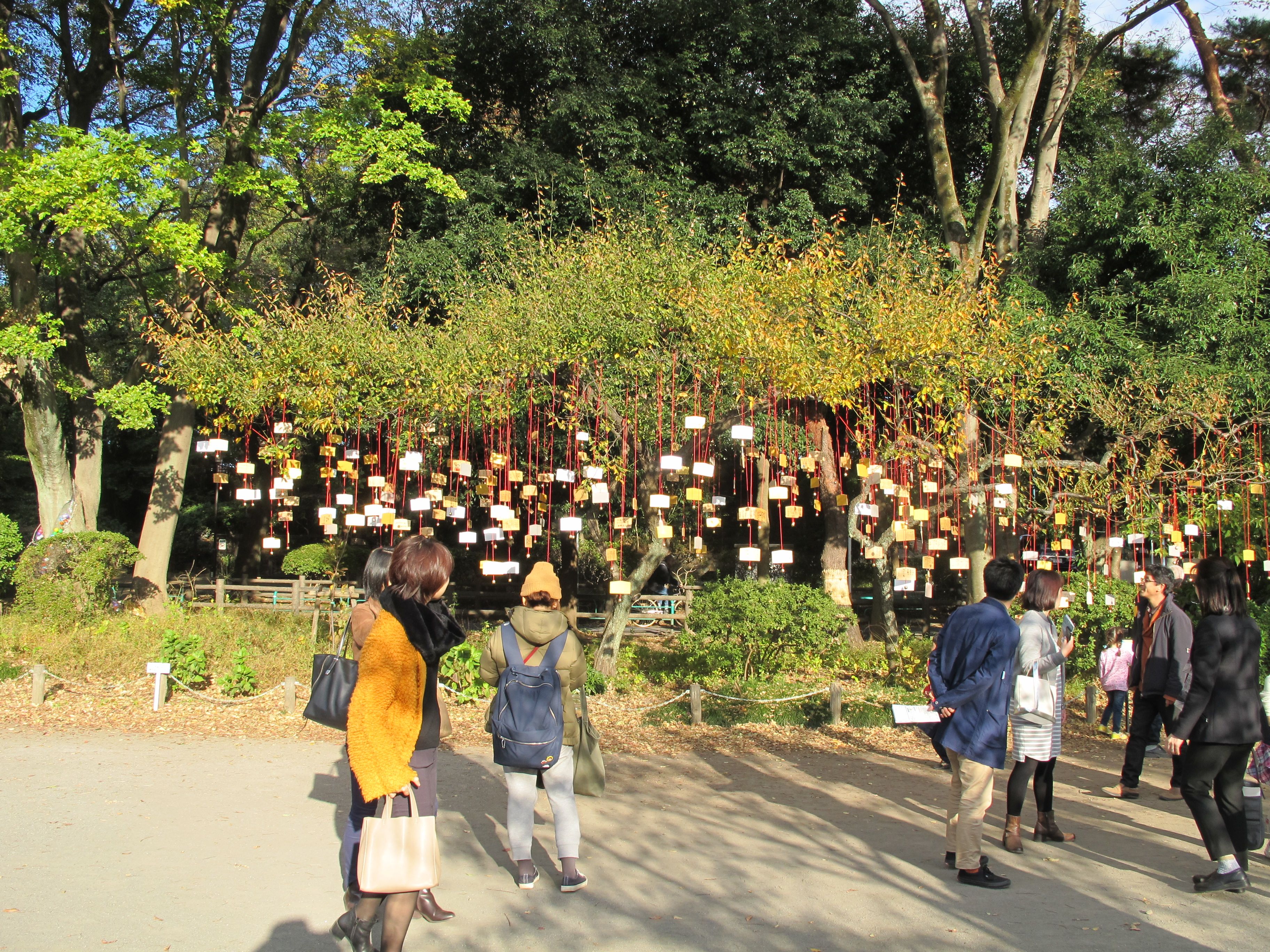 The Singing Ringing Tree 2017.