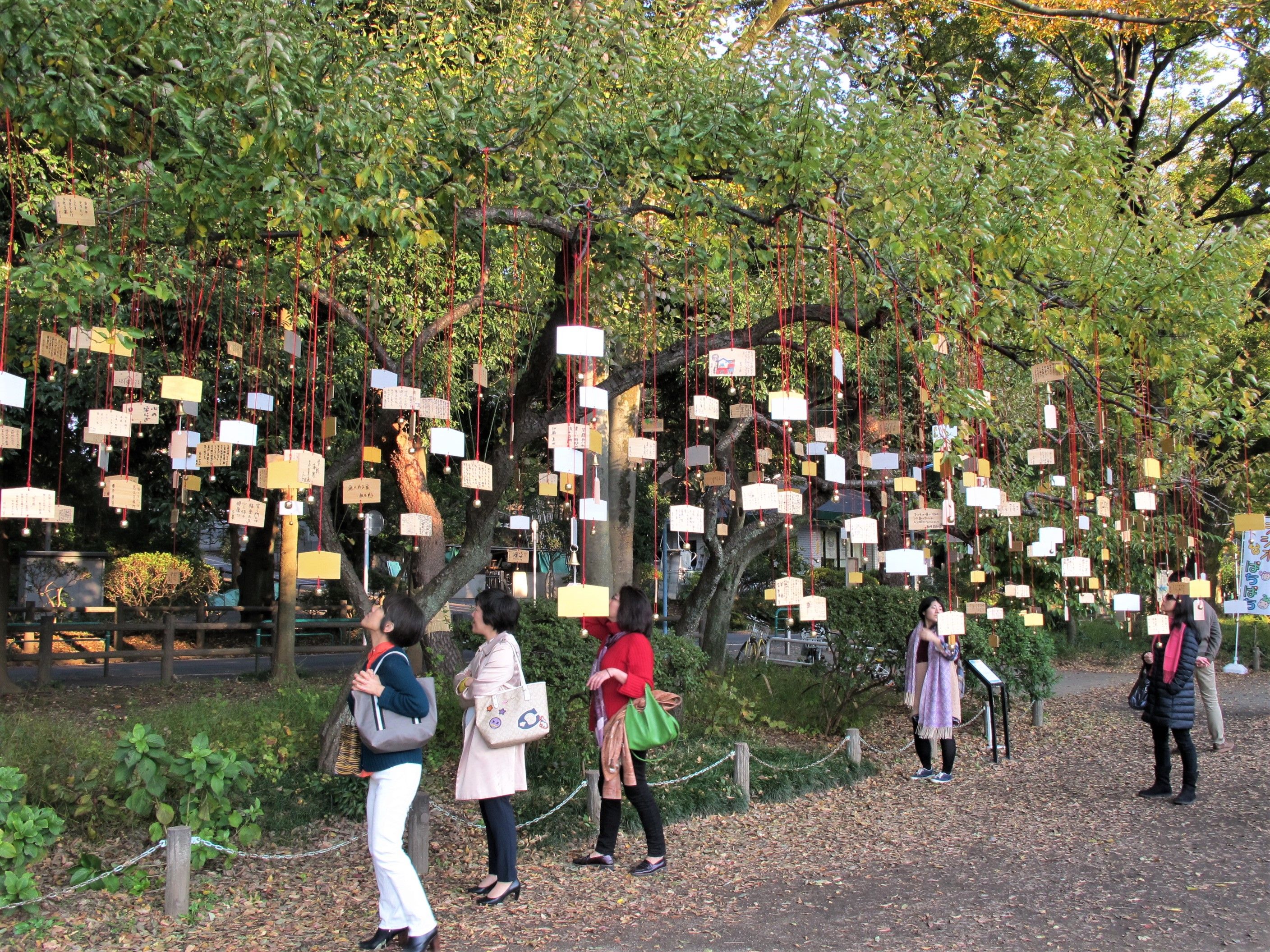 The Singing Ringing Tree 2017.
