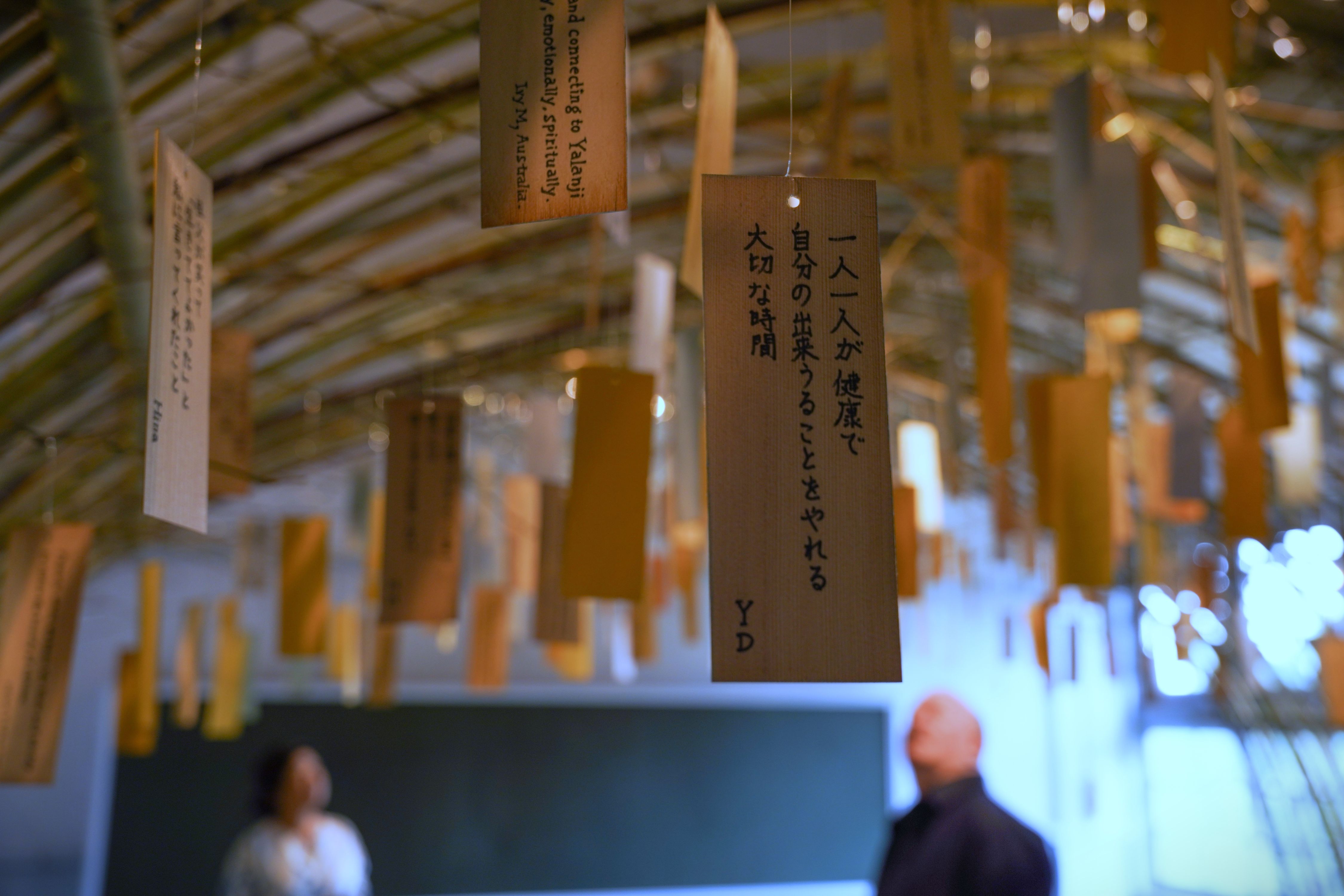 Peace of Mind, Nakanojo Biennale 2025 (9).jpg