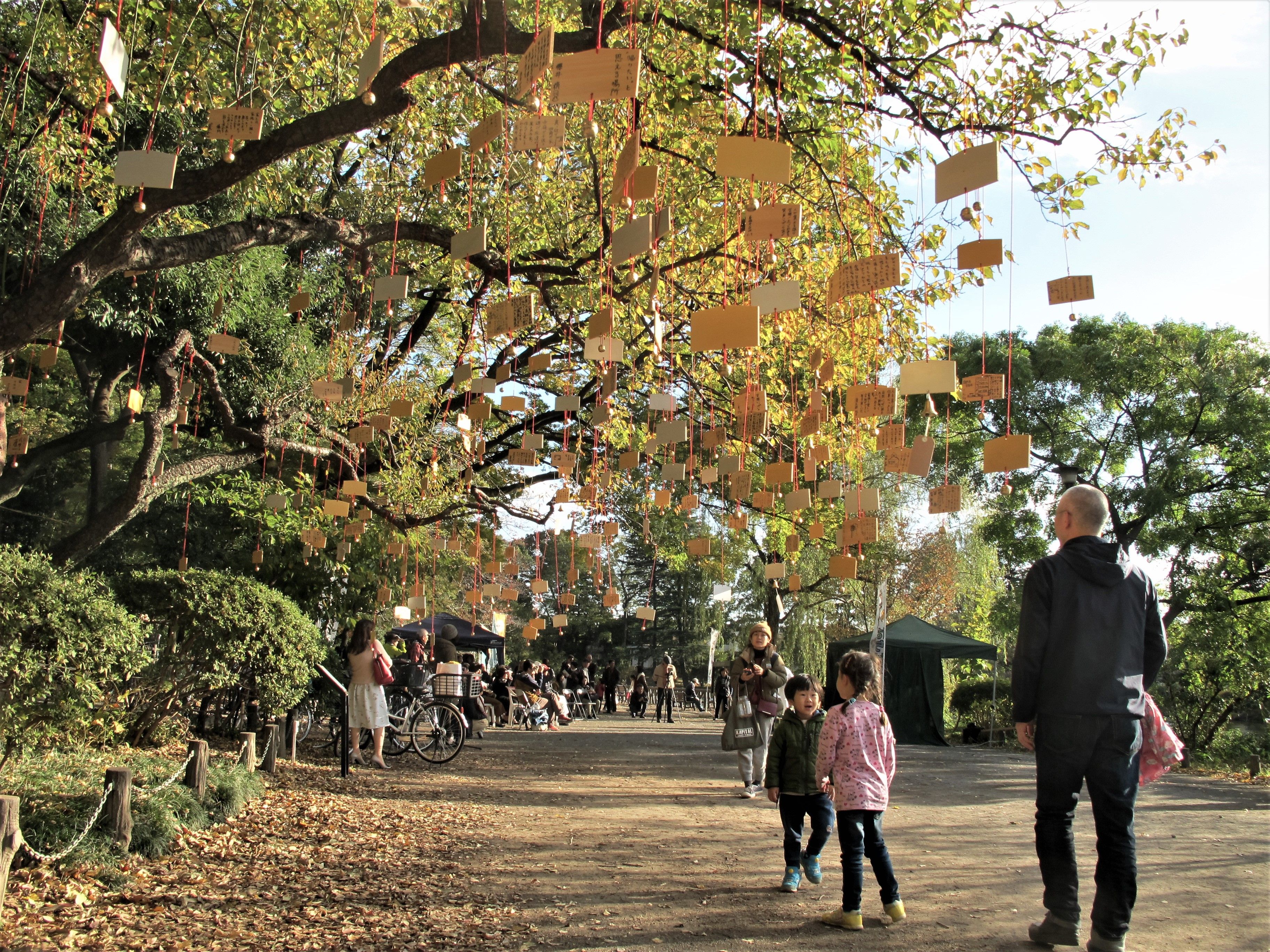 The Singing Ringing Tree 2017.