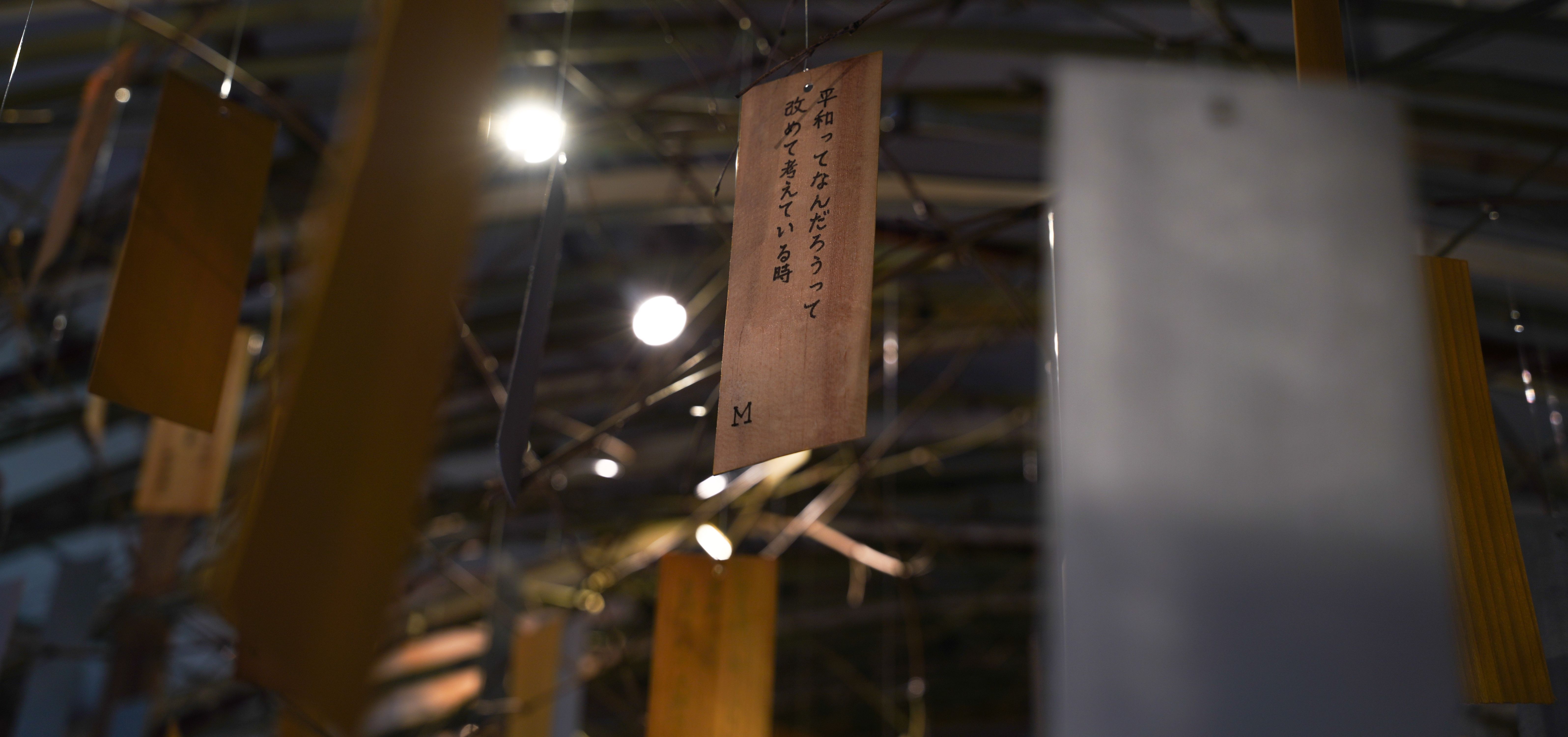 Peace of Mind, Nakanojo Biennale 2025 (10).jpg