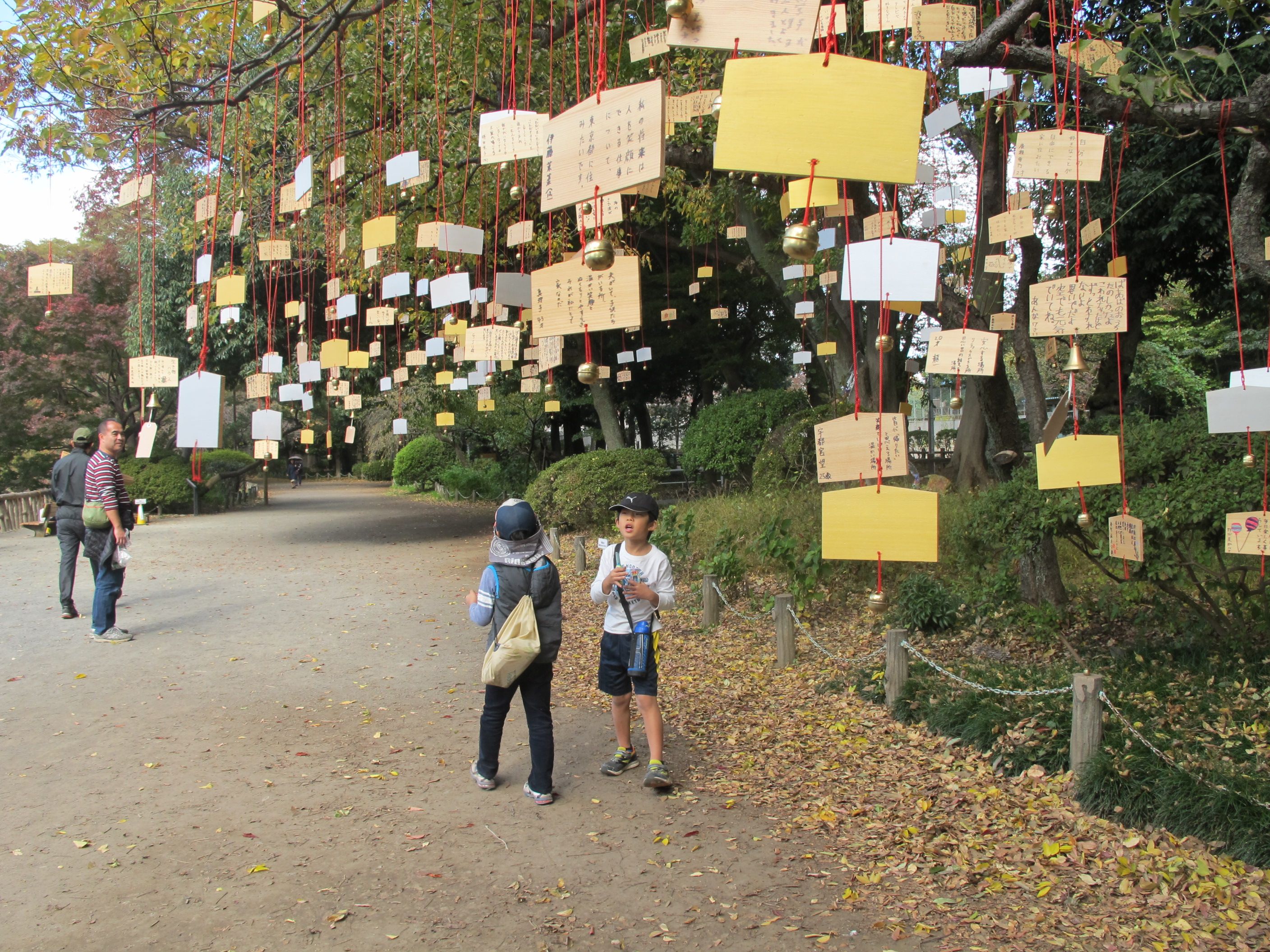 The Singing Ringing Tree 2017.