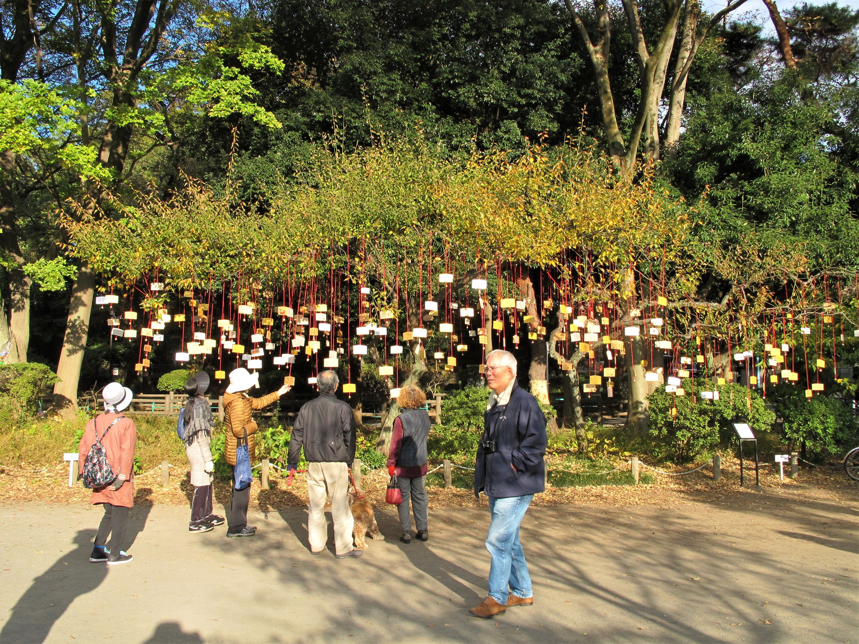 The Singing Ringing Tree 2017.