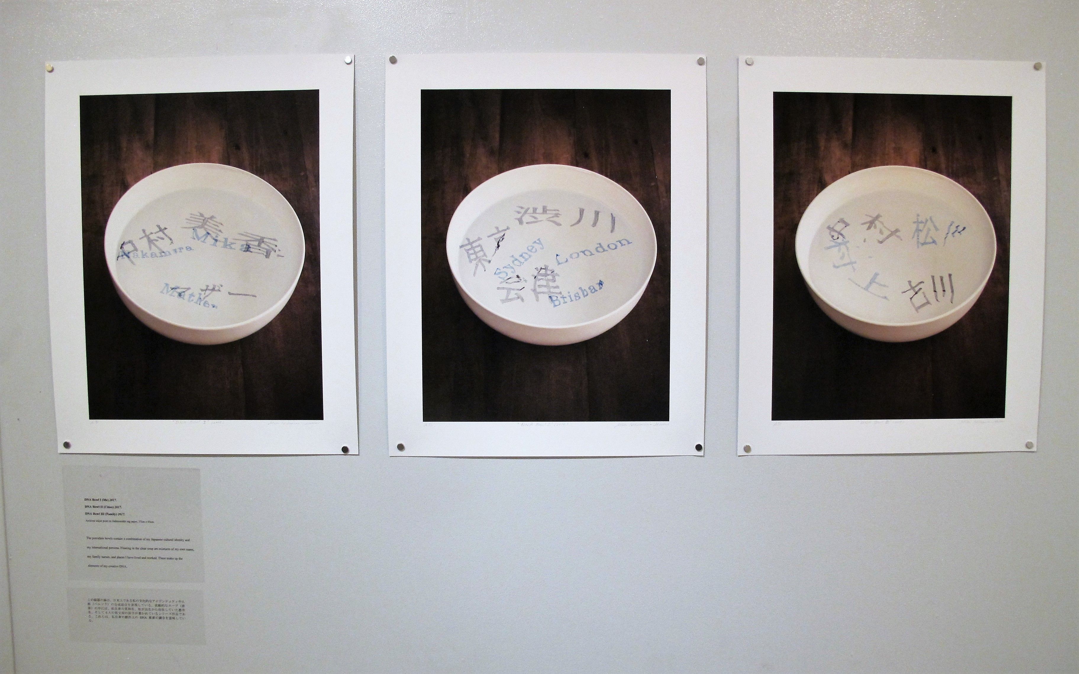 DNA Bowls, Youkobo Art Space 2017JPG