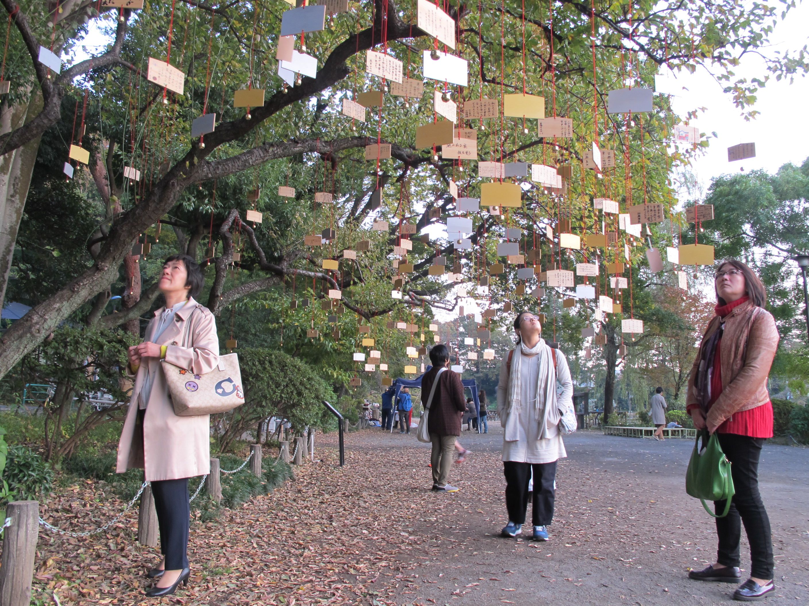 The Singing Ringing Tree 2017.
