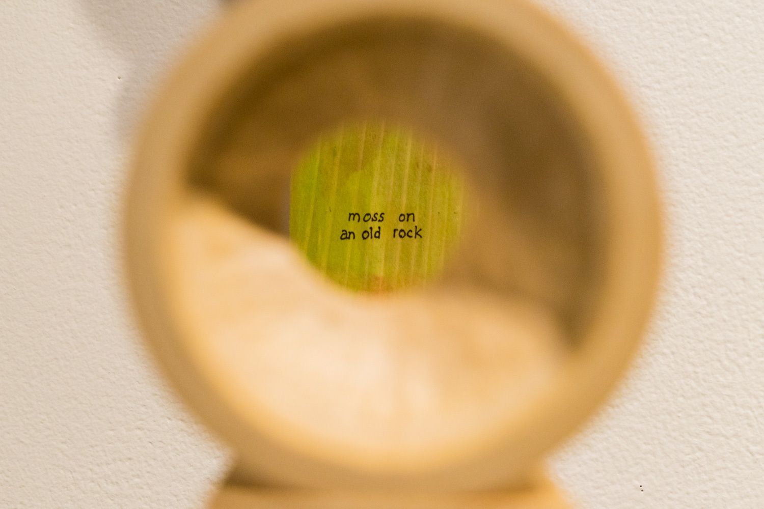 11-floating_word_artwork_documentation_lr_71