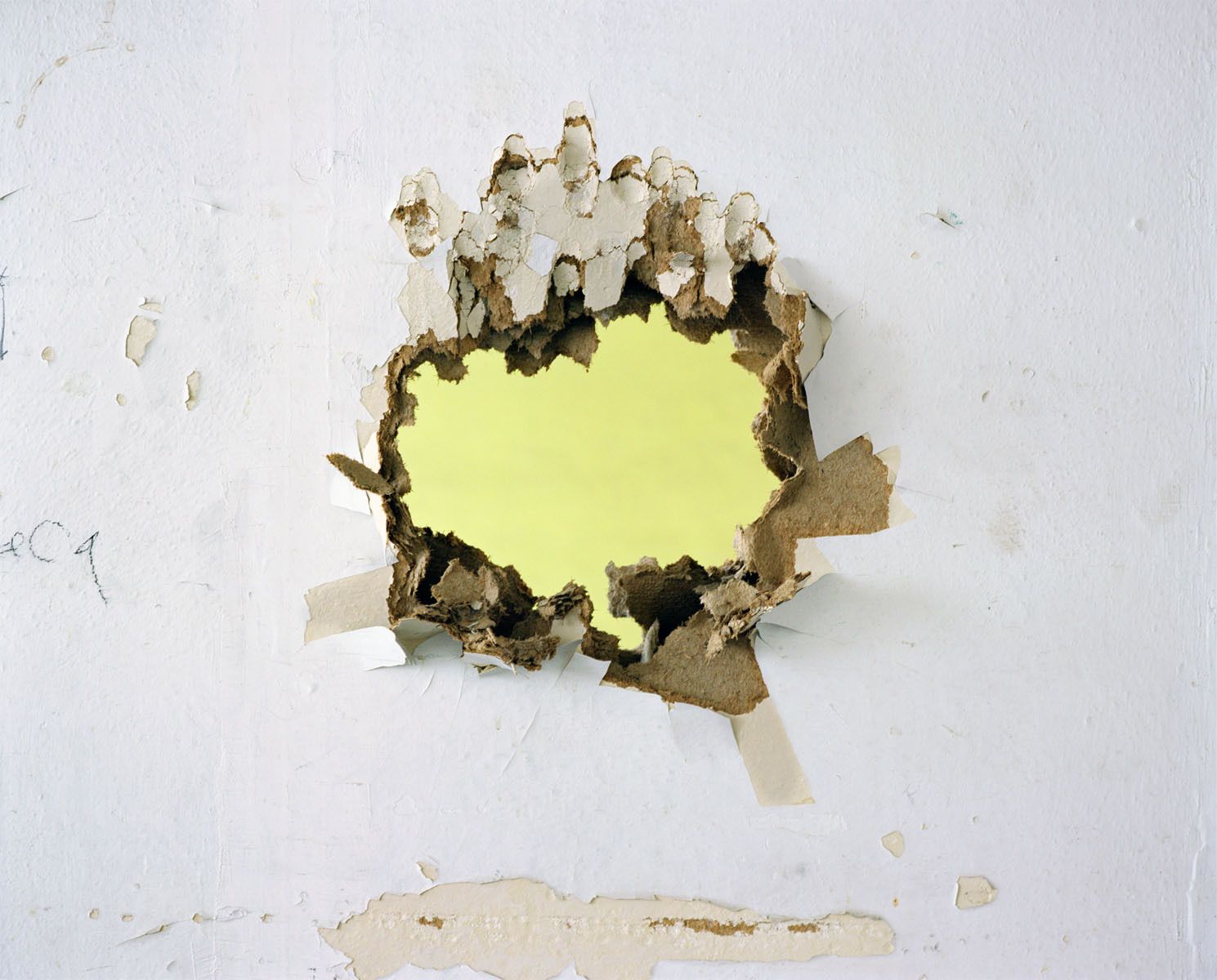 White, Yellow, 2009