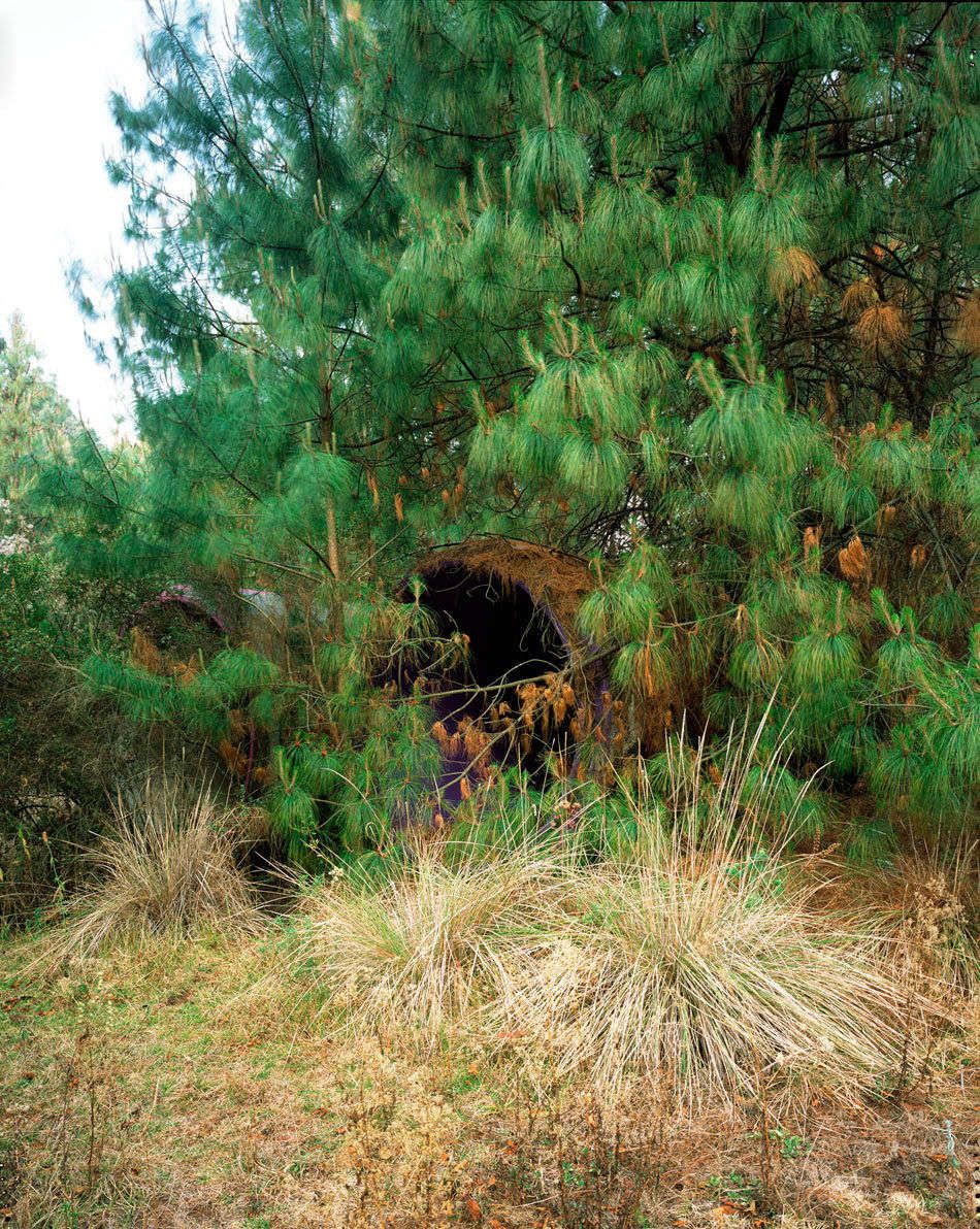 Time Passing, 2012-13