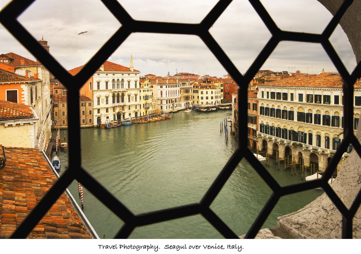 1048_SEAGULL_OVER_VENICE.jpg