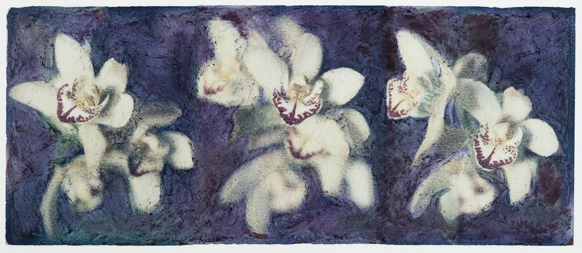 ORCHID_TRIPTYCH_CROP_CF005615.jpg
