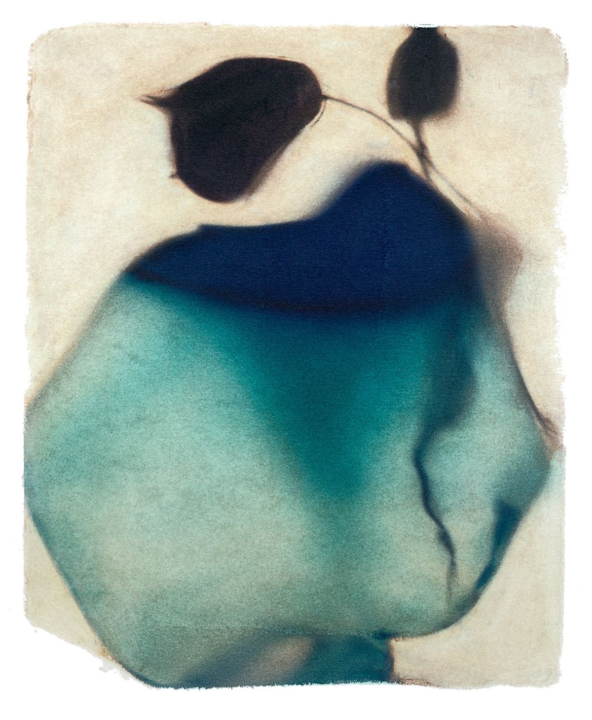 TF_Dist. Bottle #1.jpg