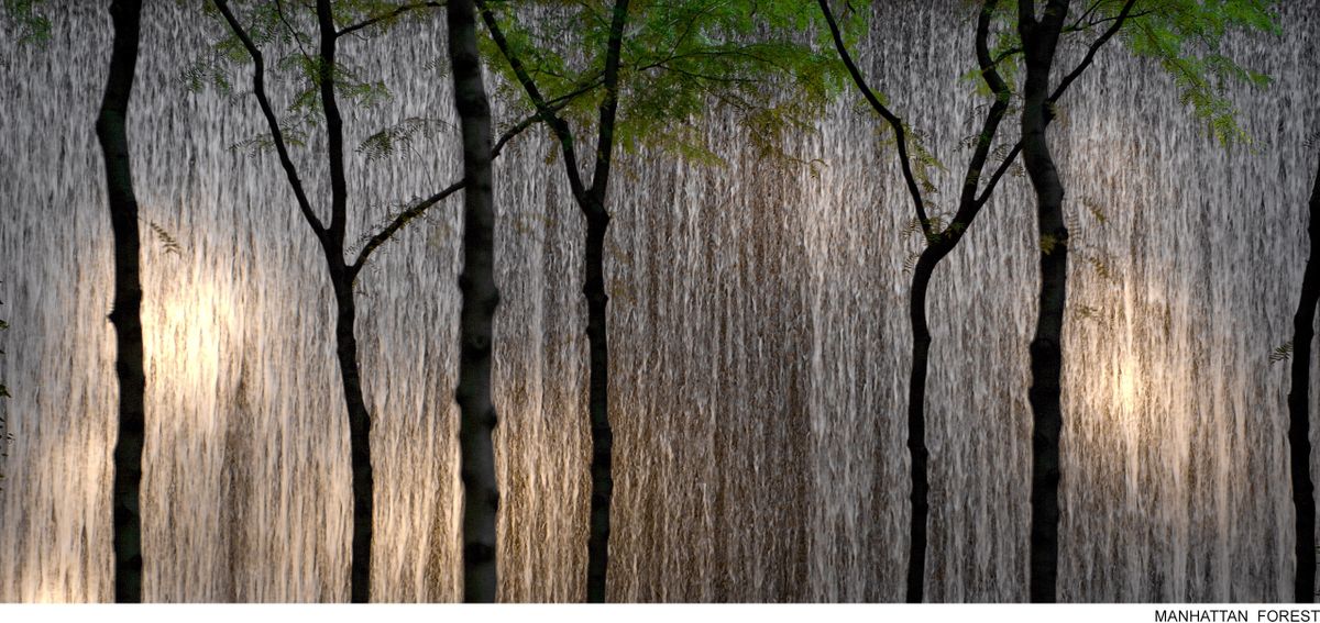 MANHATTAN TREE_TYPE.jpg