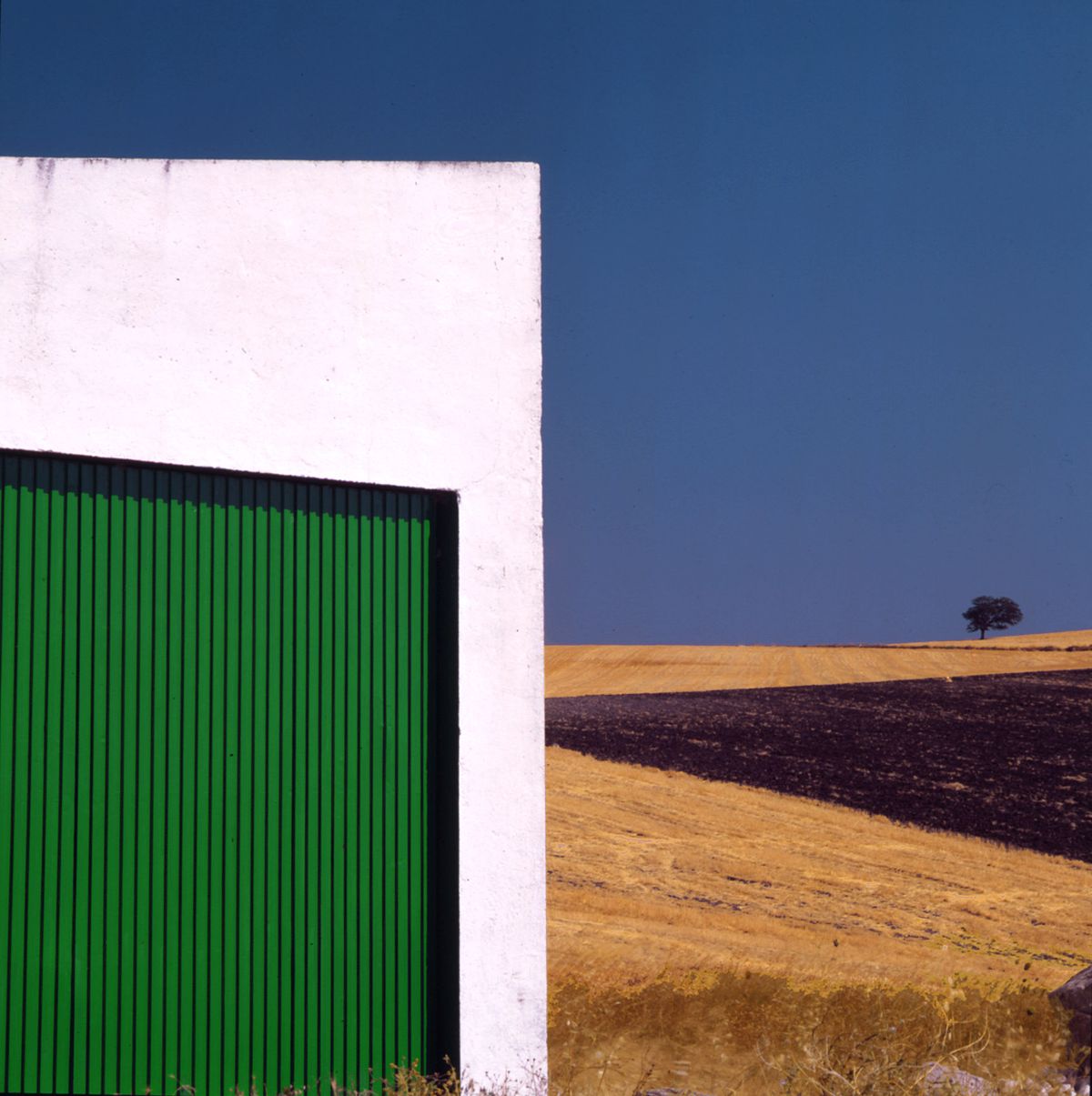 SPAIN_GREEN_DOOR_NEW 2014.jpg