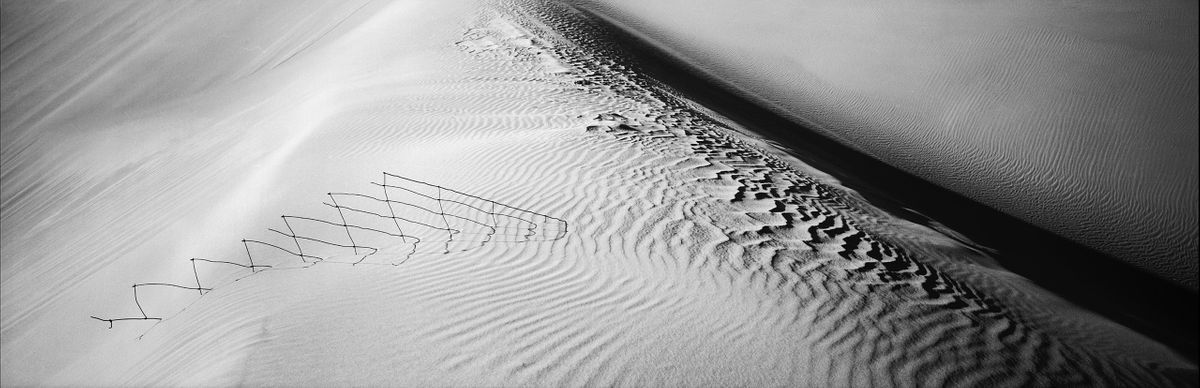 wire dunes_CROP.jpg
