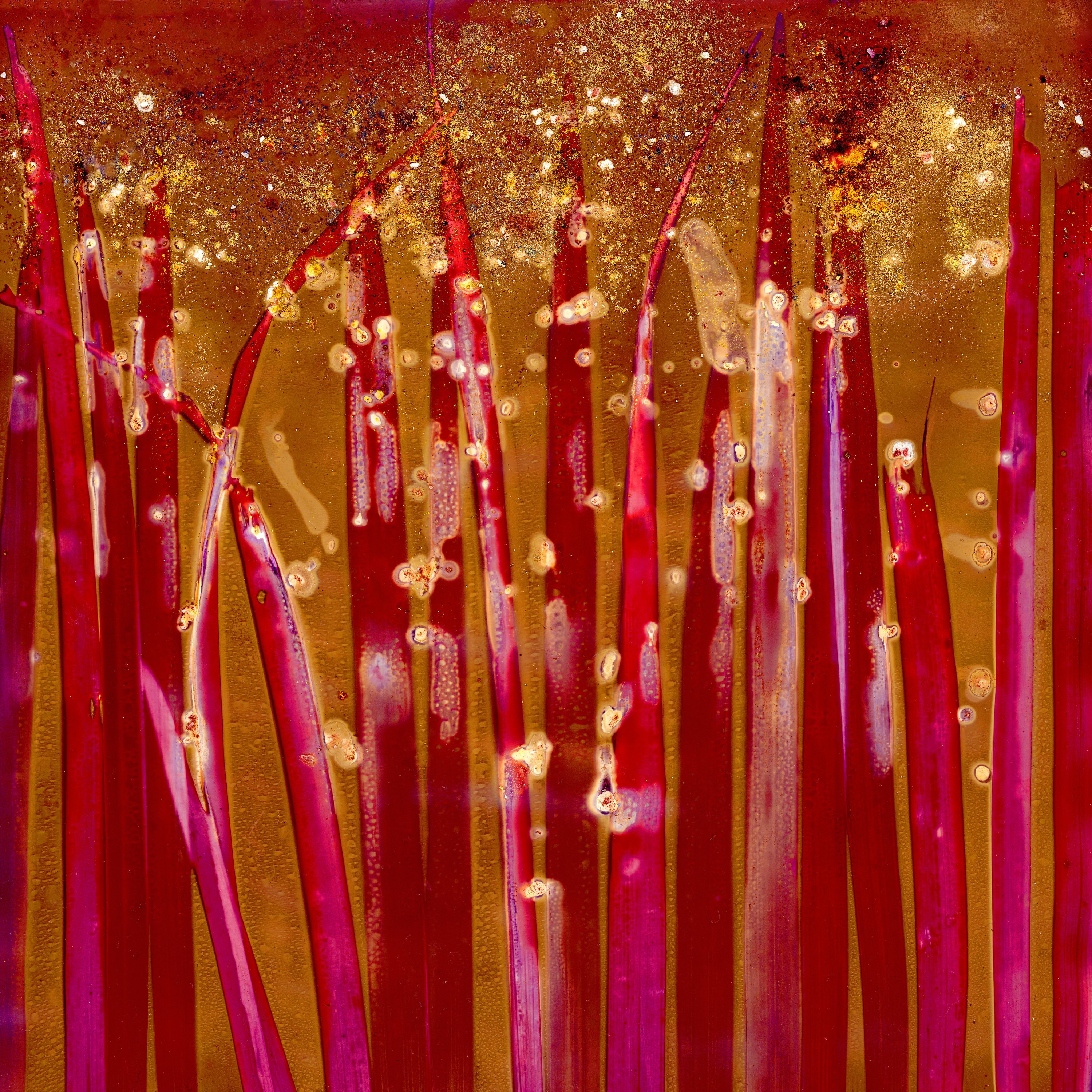 •	Fossil Poetry: South Porch Lumens, LXII, Summerville, South Carolina