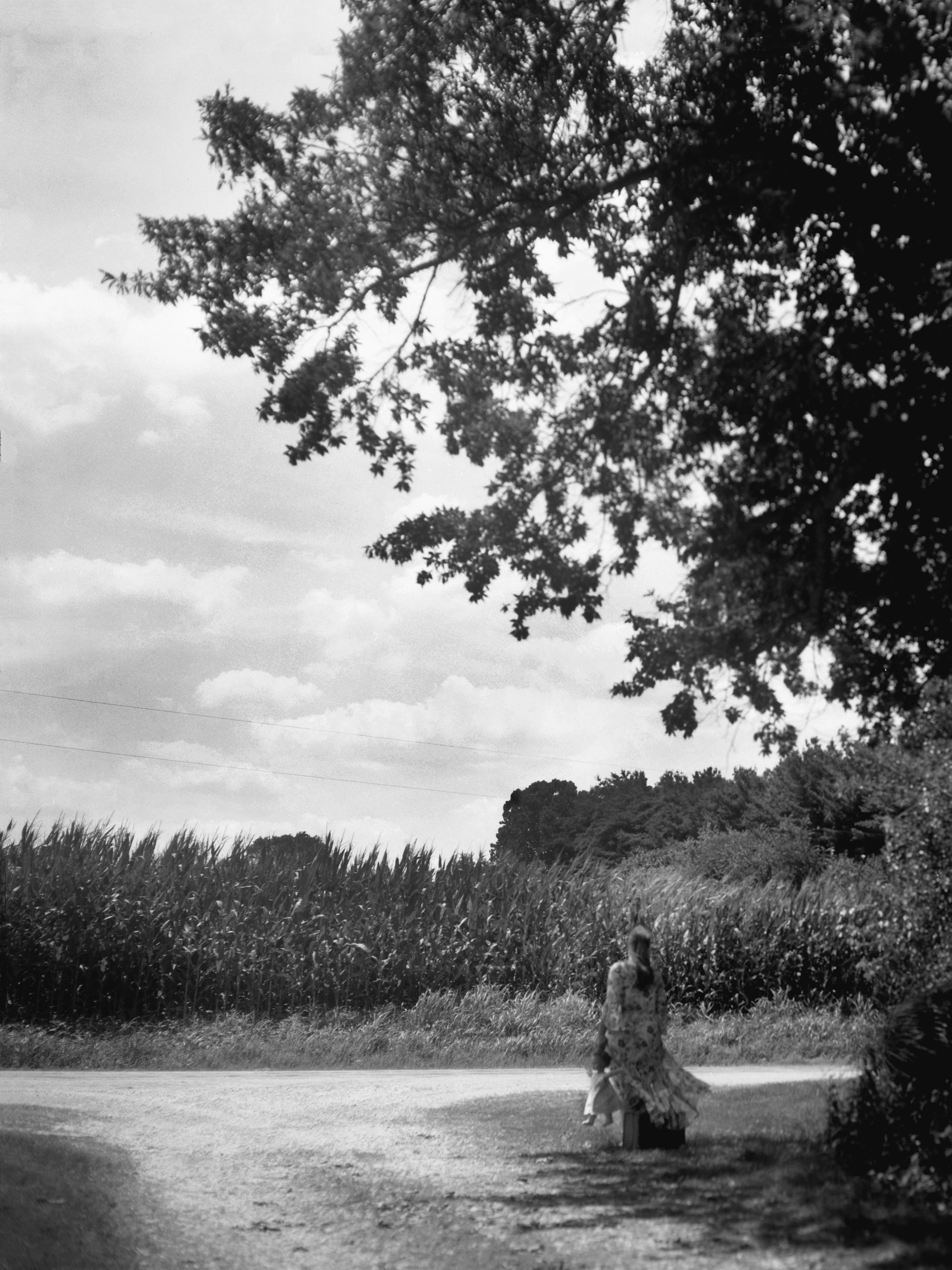 AN EXPECTATION OF LIVING