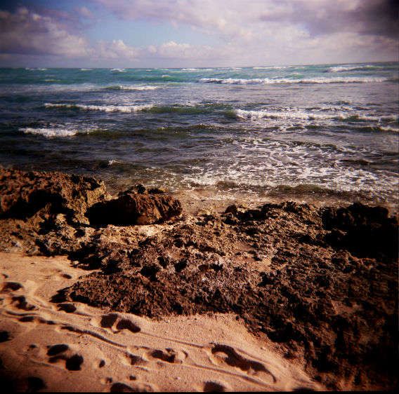 Travels in Plastic:  Beach near Germaine's Luau, Honolulu, HI At the Luau, Honolulu, Hawaii