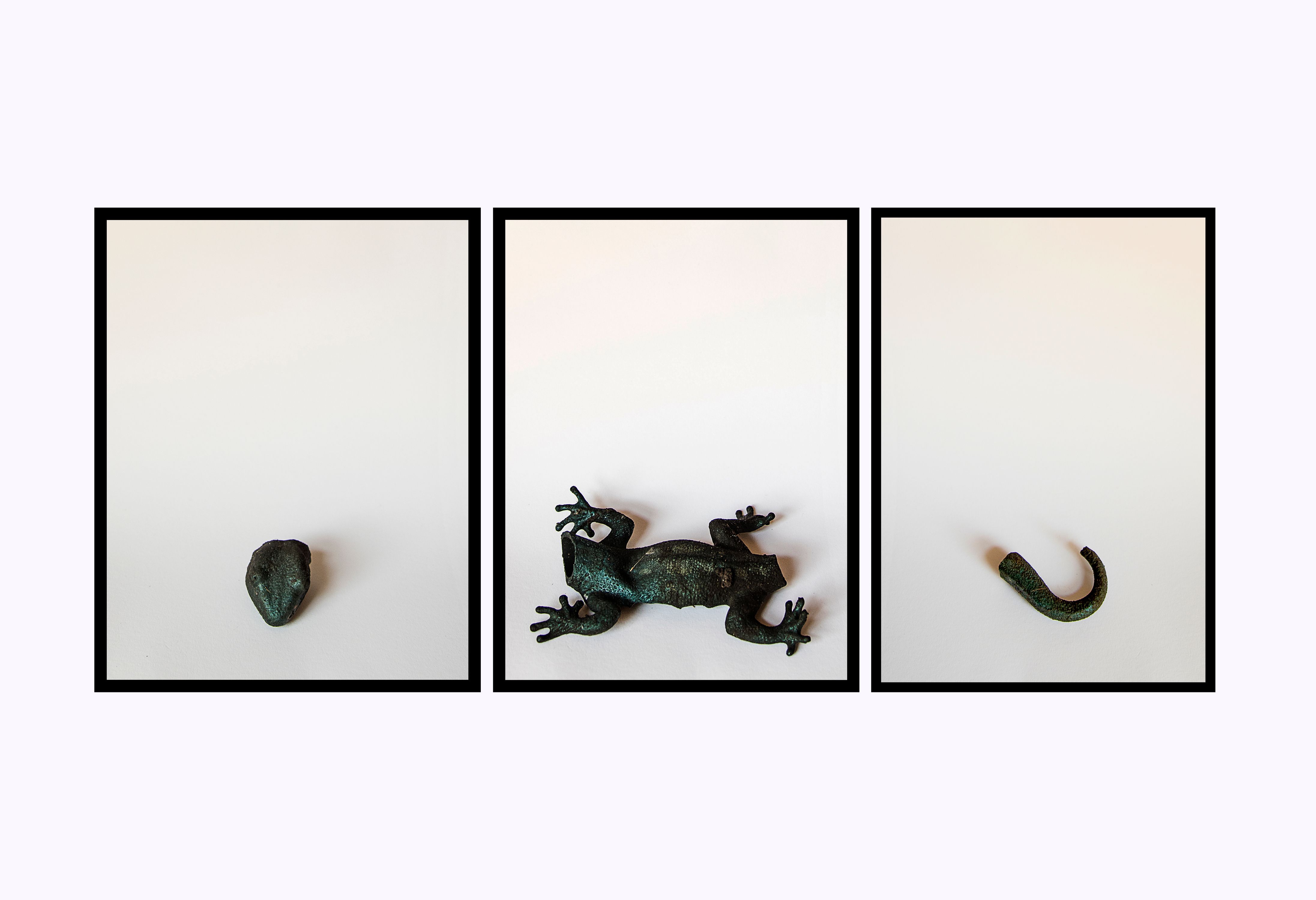 LOST TREASURES FOUND, LIZARD