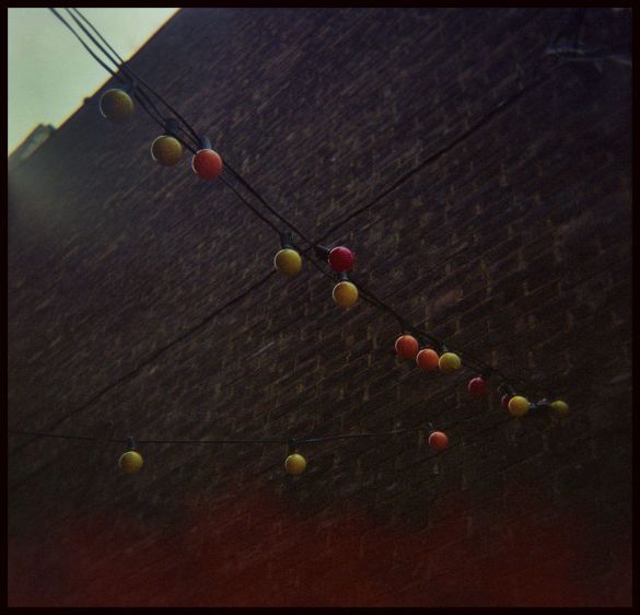 Travels in Plastic: Alleyway in Little Italy, Cleveland, OH Little Italy, Cleveland, OH