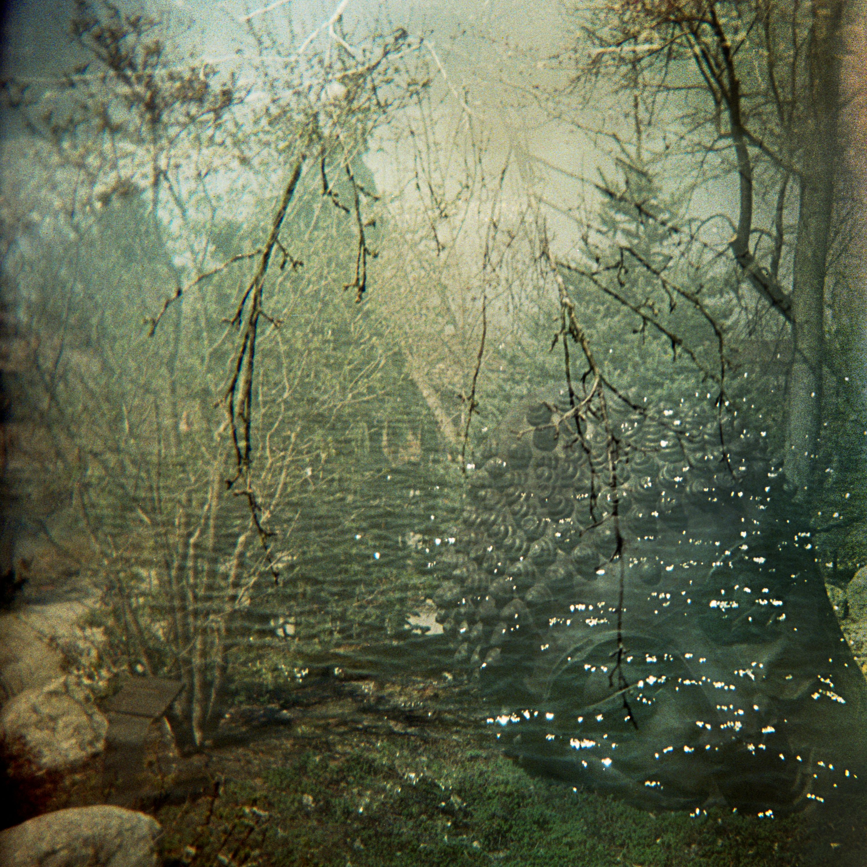 Travels in Plastic: double exposure made at Meijer Gardens in Grand Rapids, MI Sunken Heads, Grand Rapids, Michigan