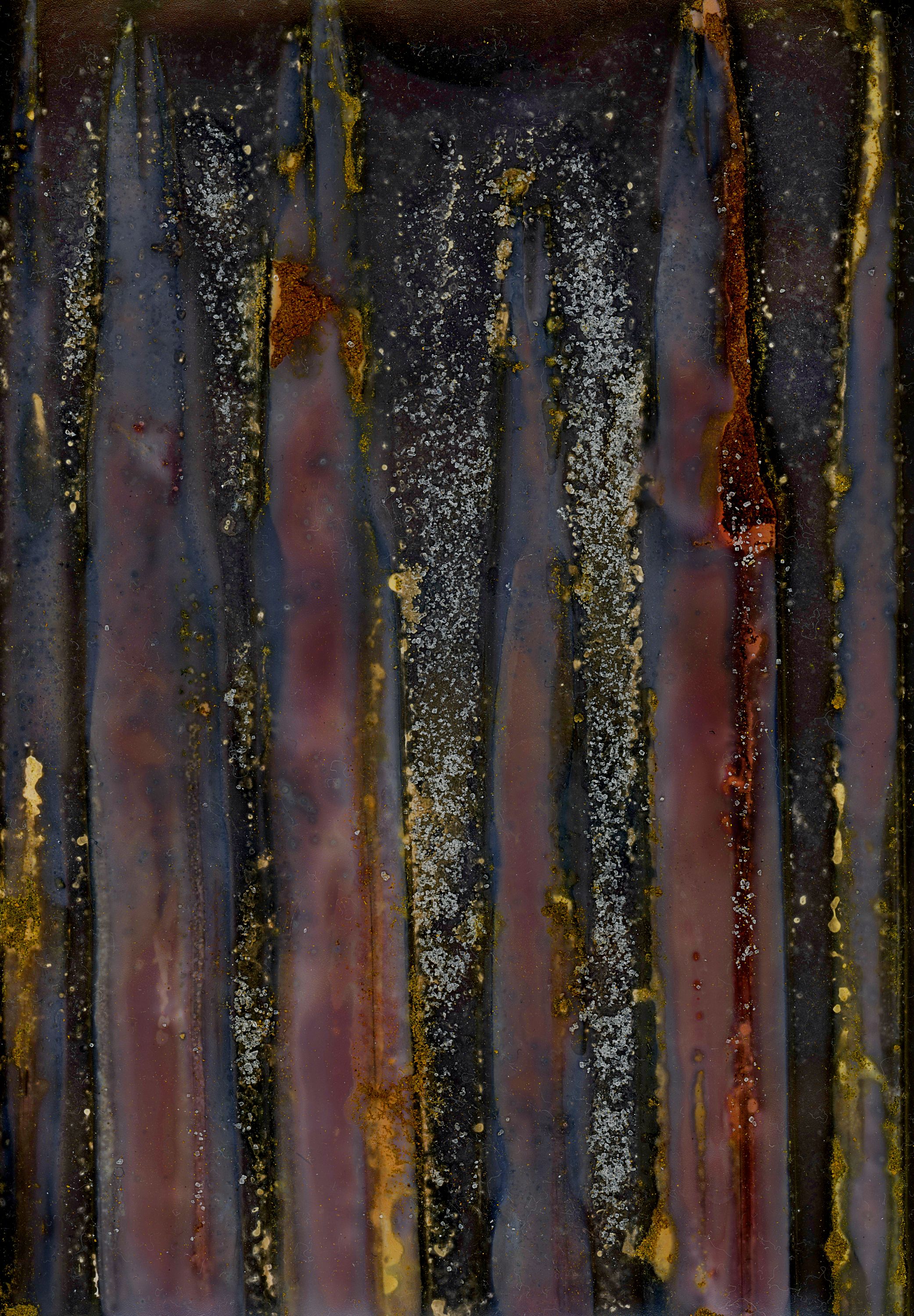 •	Palm Fronds with Salt, Beetroot, and Turmeric on Black and White Photo Paper and printed on Aluminum •	Fossil Poetry: Lowcountry Lumens IV, Kingsland, Georgia