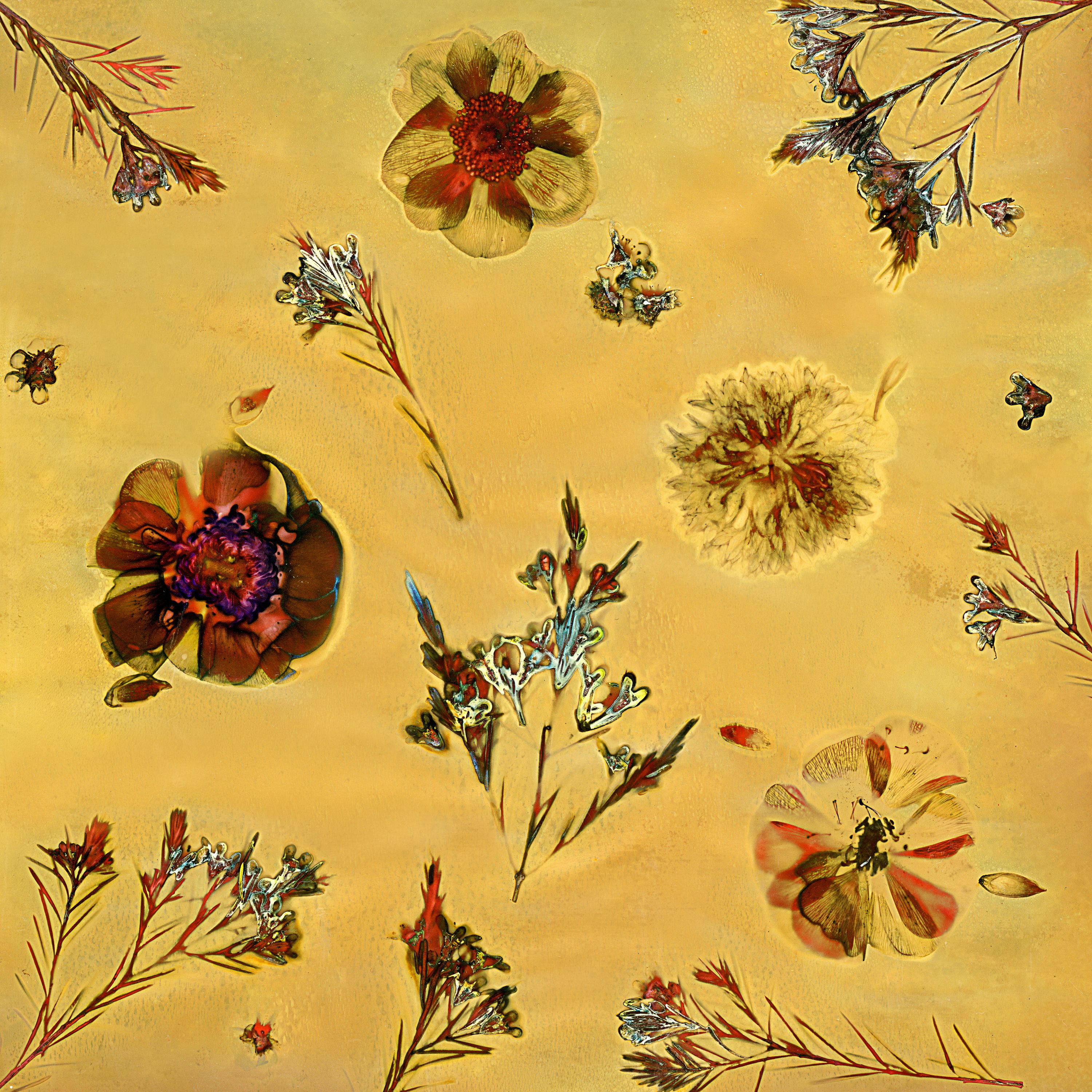 •	Fossil Poetry: South Porch Lumens LXIV, Summerville, South Carolina