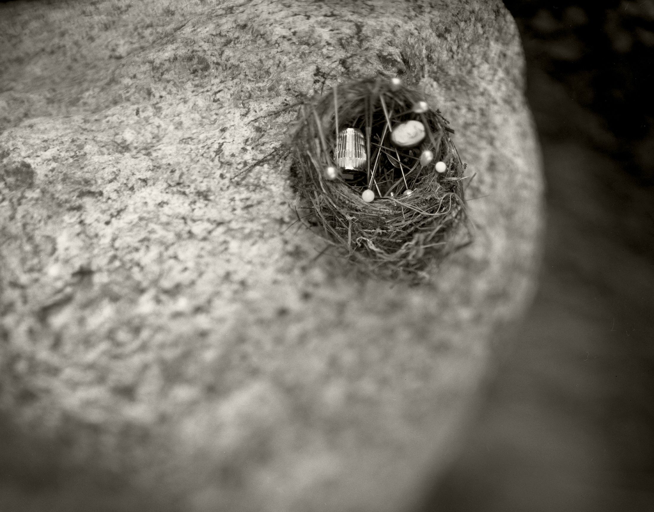 LEGACY-ALZHEIMERS STORIES_A DEEP CHAOS.jpg