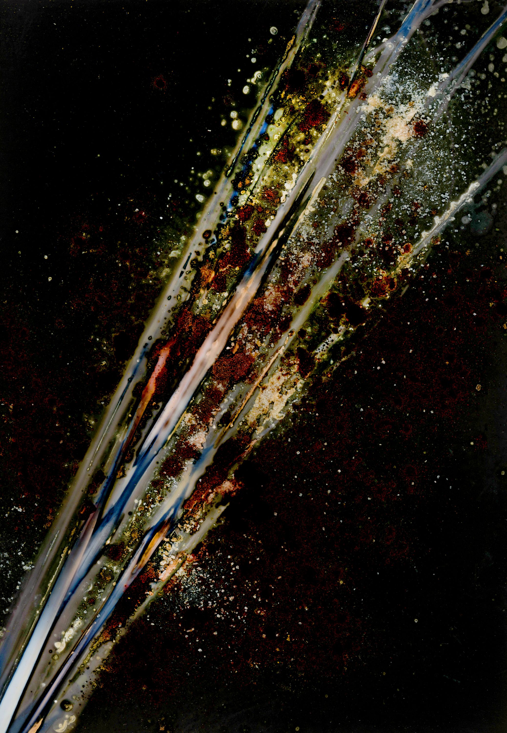 •	Palm Fronds with Salt, Beetroot, Turmeric, Kelp and Spirulina on Black and White Photo Paper and printed on Acrylic •	Fossil Poetry: Lowcountry Lumens III, Kingsland, Georgia