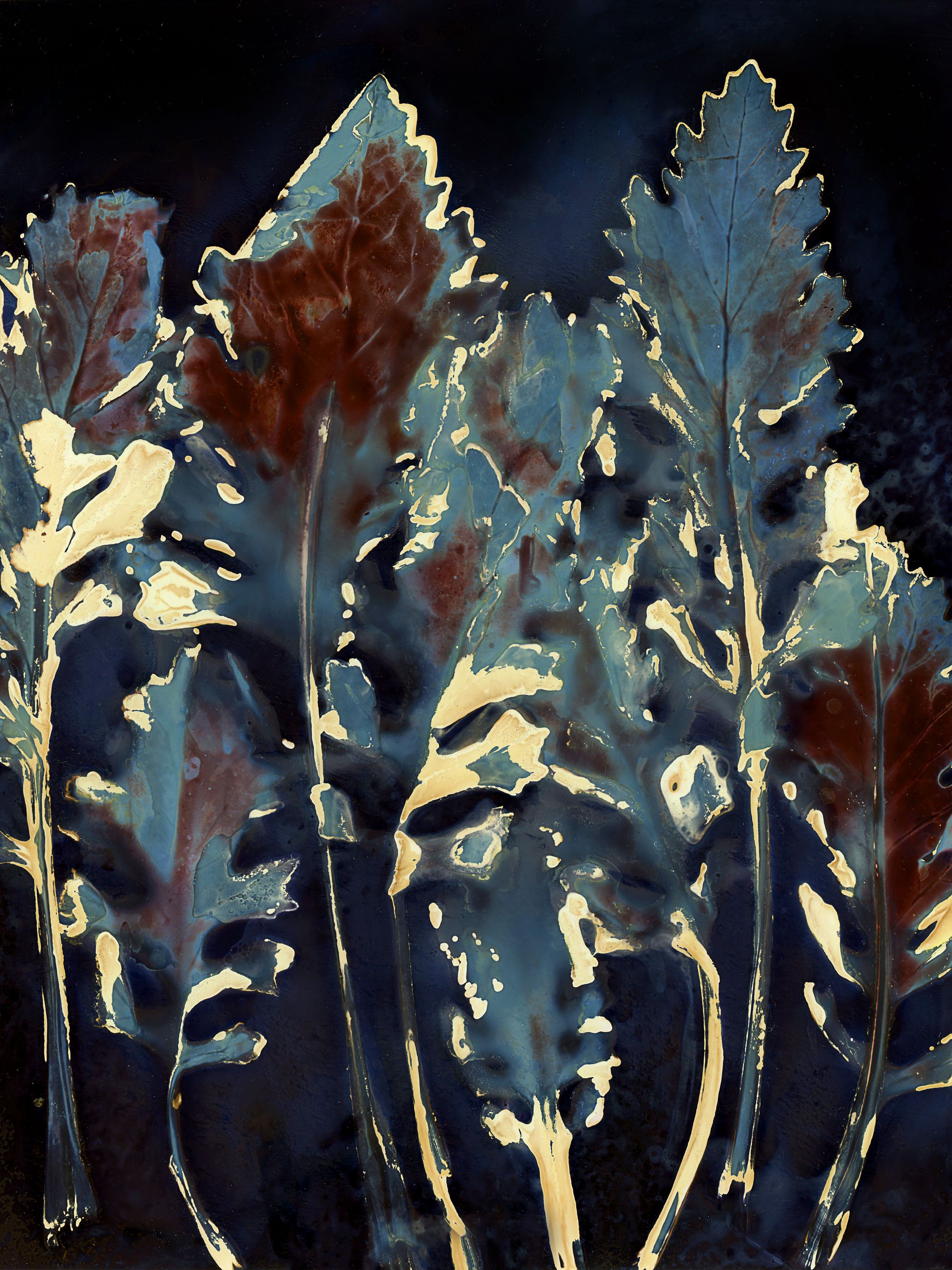 •	Fossil Poetry: South Porch Lumens CLXXXIII, Summerville, South Carolina