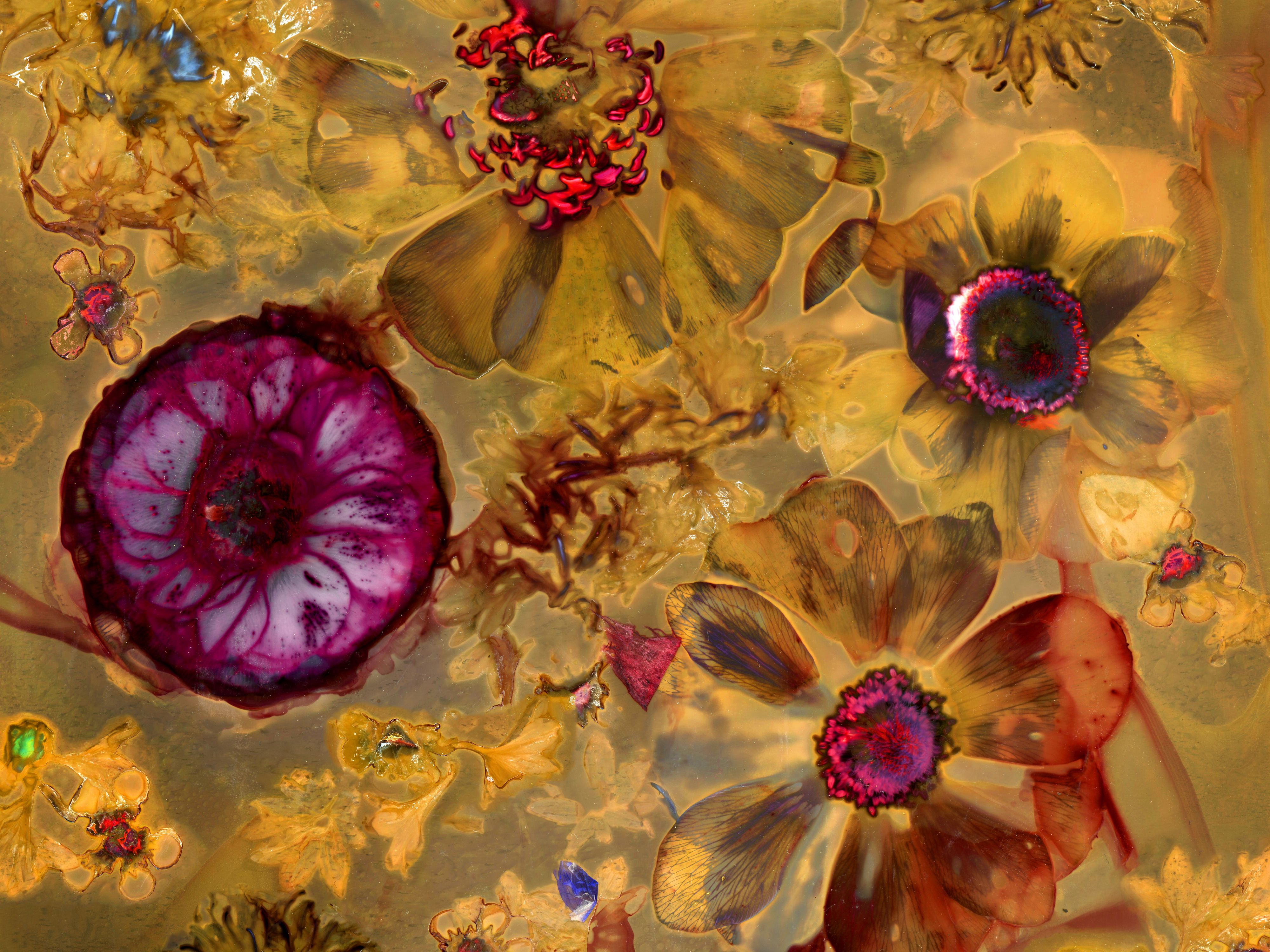 Fossil Poetry: South Porch Lumens, XLVI, Summerville, South Carolina