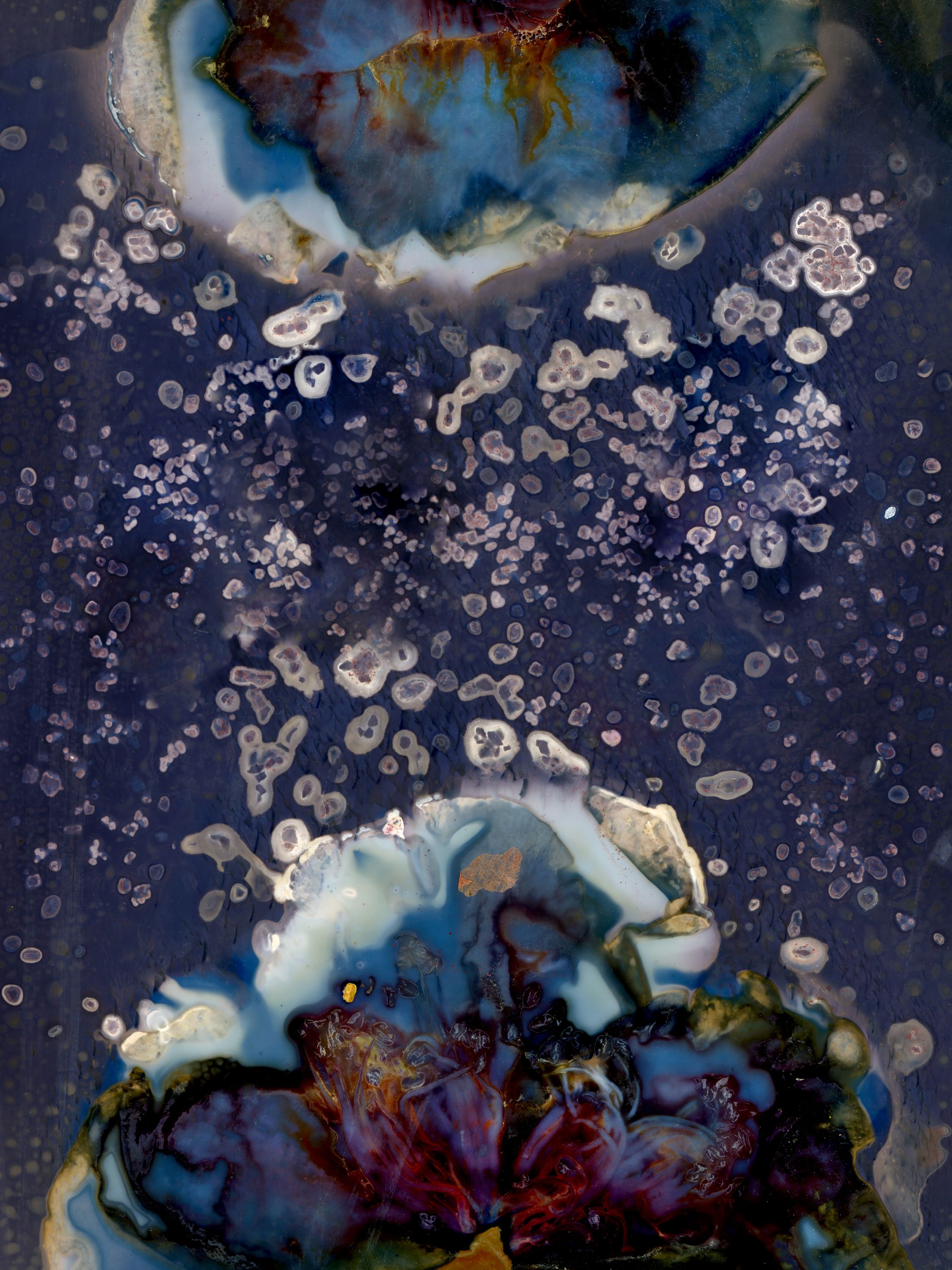 •	Fossil Poetry: South Porch Lumens, XLIII, Summerville, South Carolina