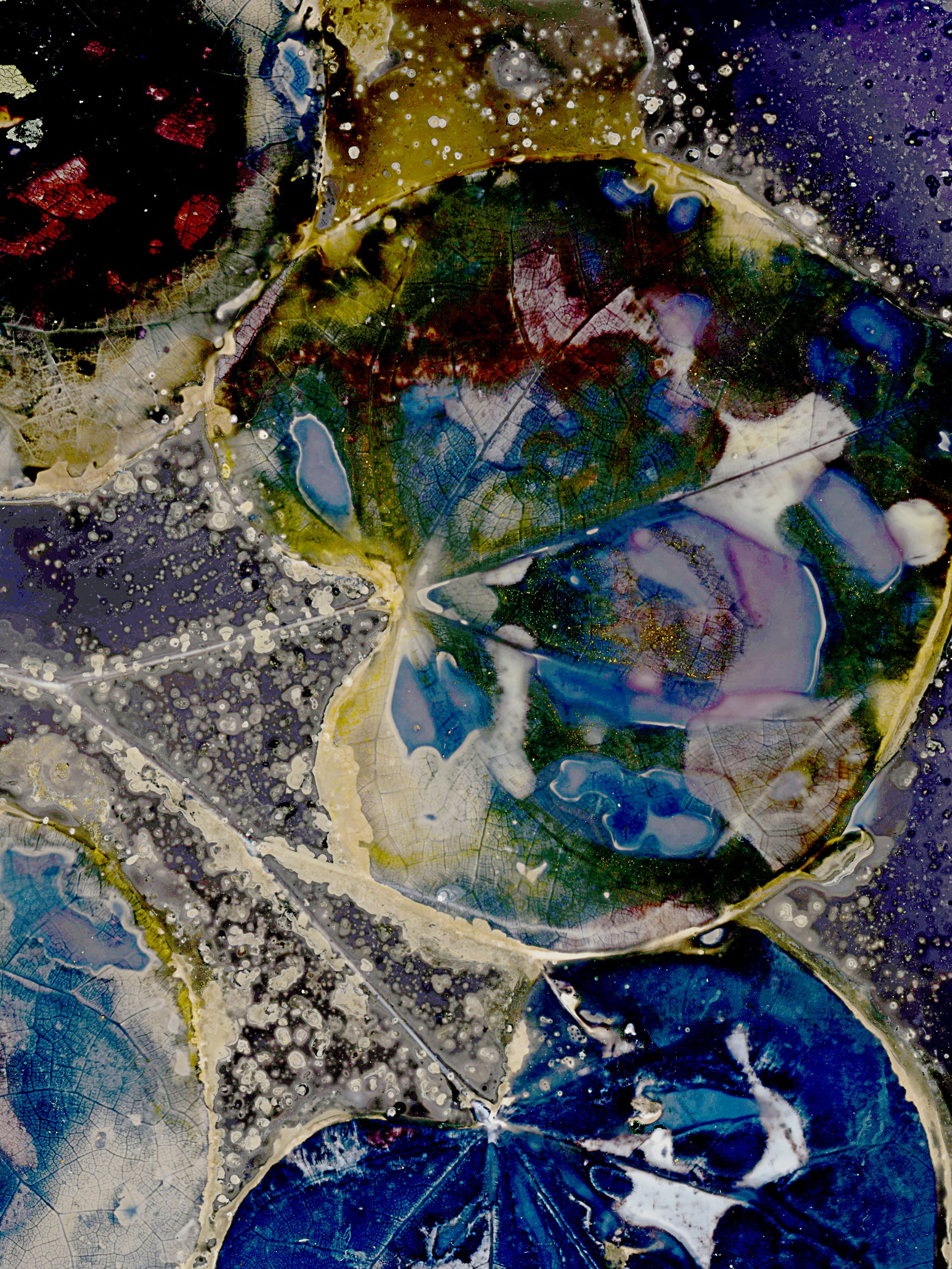 Lumen image with black point adjustment.  Sun exposed plants with turmeric, paprika, saffron, beetroot, and salt on photo paper. Lumen Manor 17